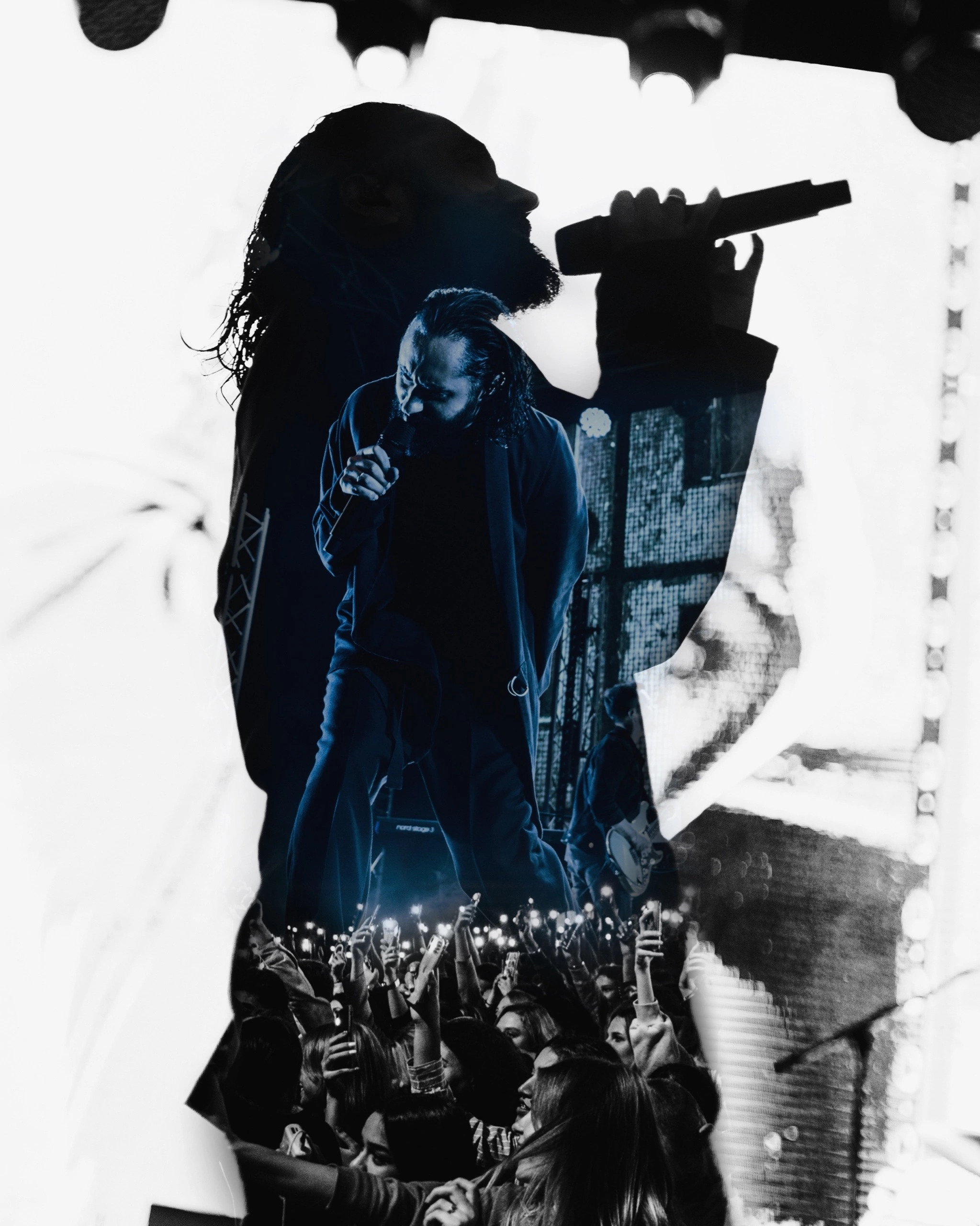 Collages. Концертный фотограф Евгения Самойлова