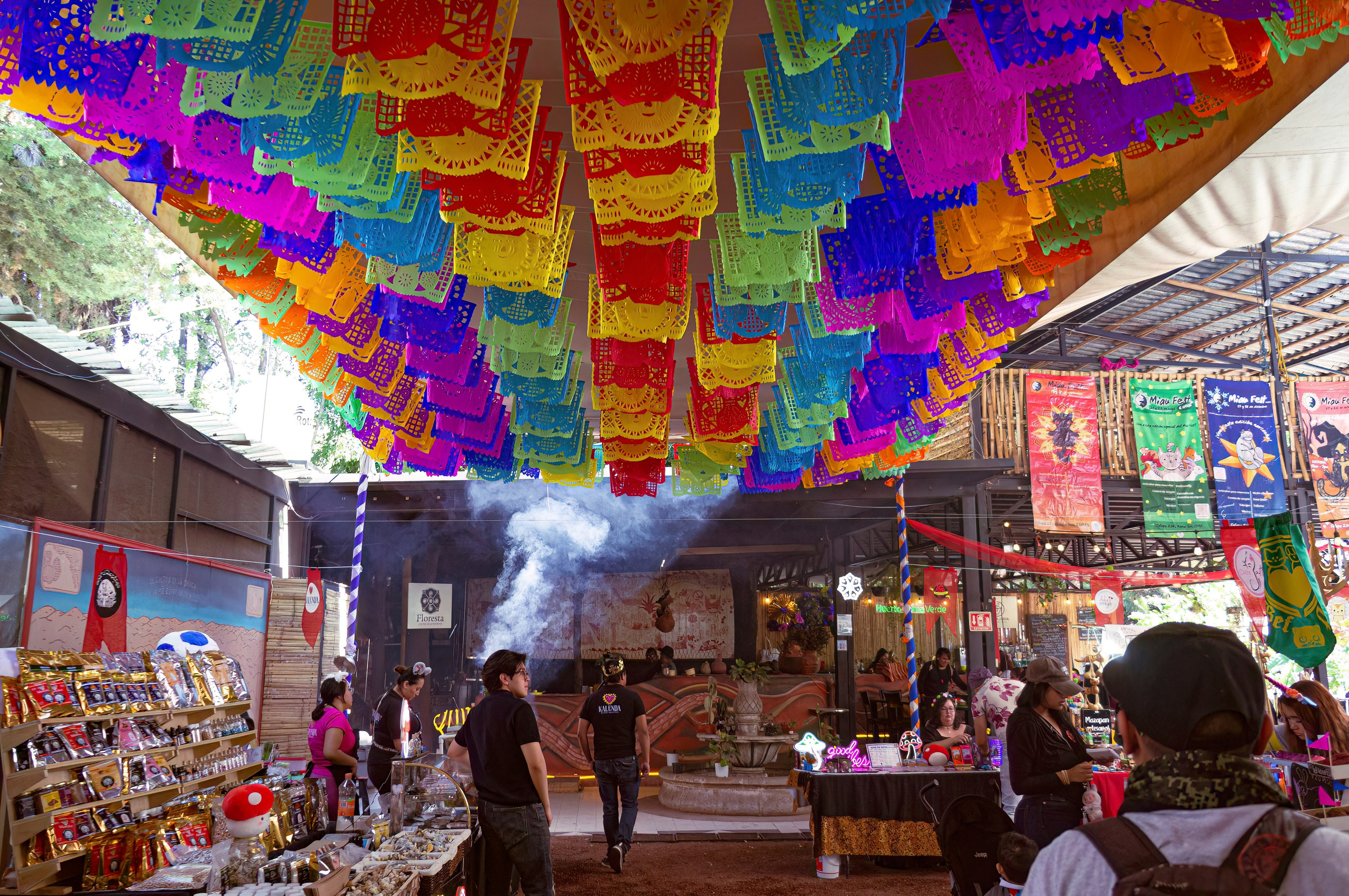 Míau Fest. CDMX Photography | Alex Klenin| Portrait & Event Photographer