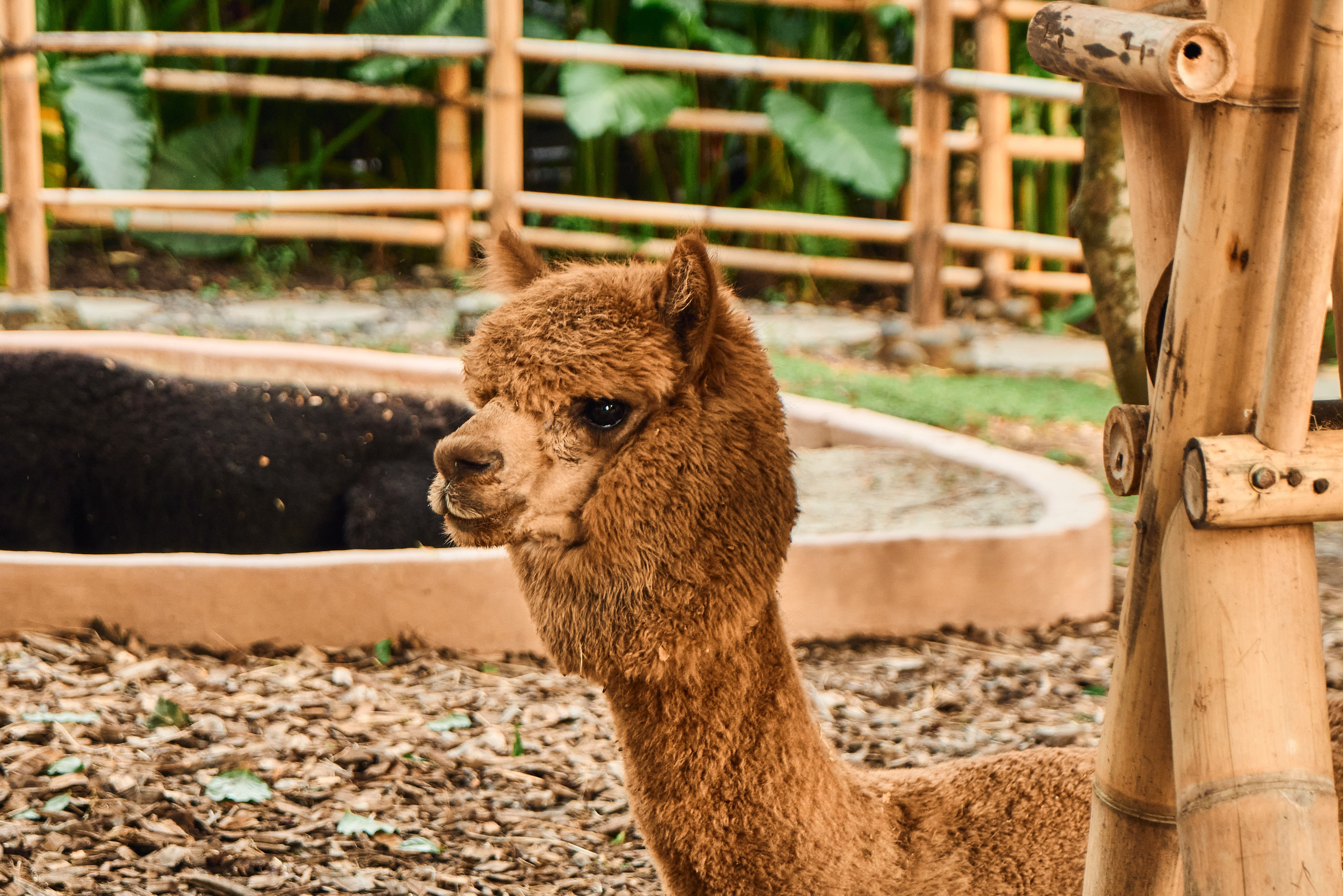 NuanuResort. See the moment and catche. commercial and reportage