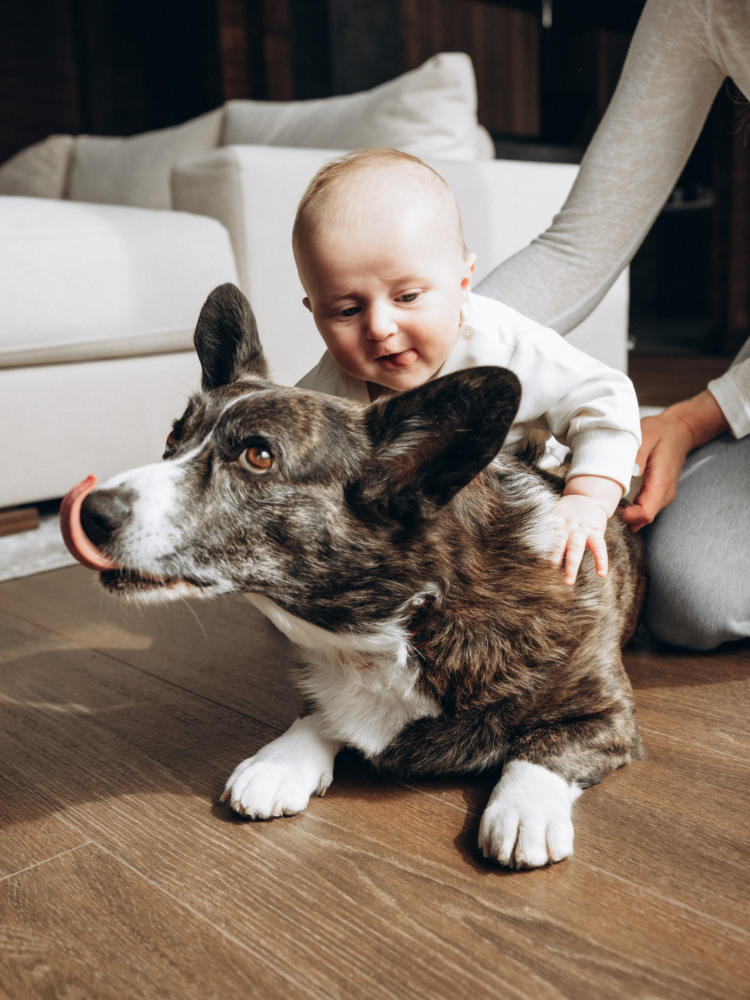Домашняя с малышом. Женский и семейный фотограф в Москве и Красногорске Светлана Левченко