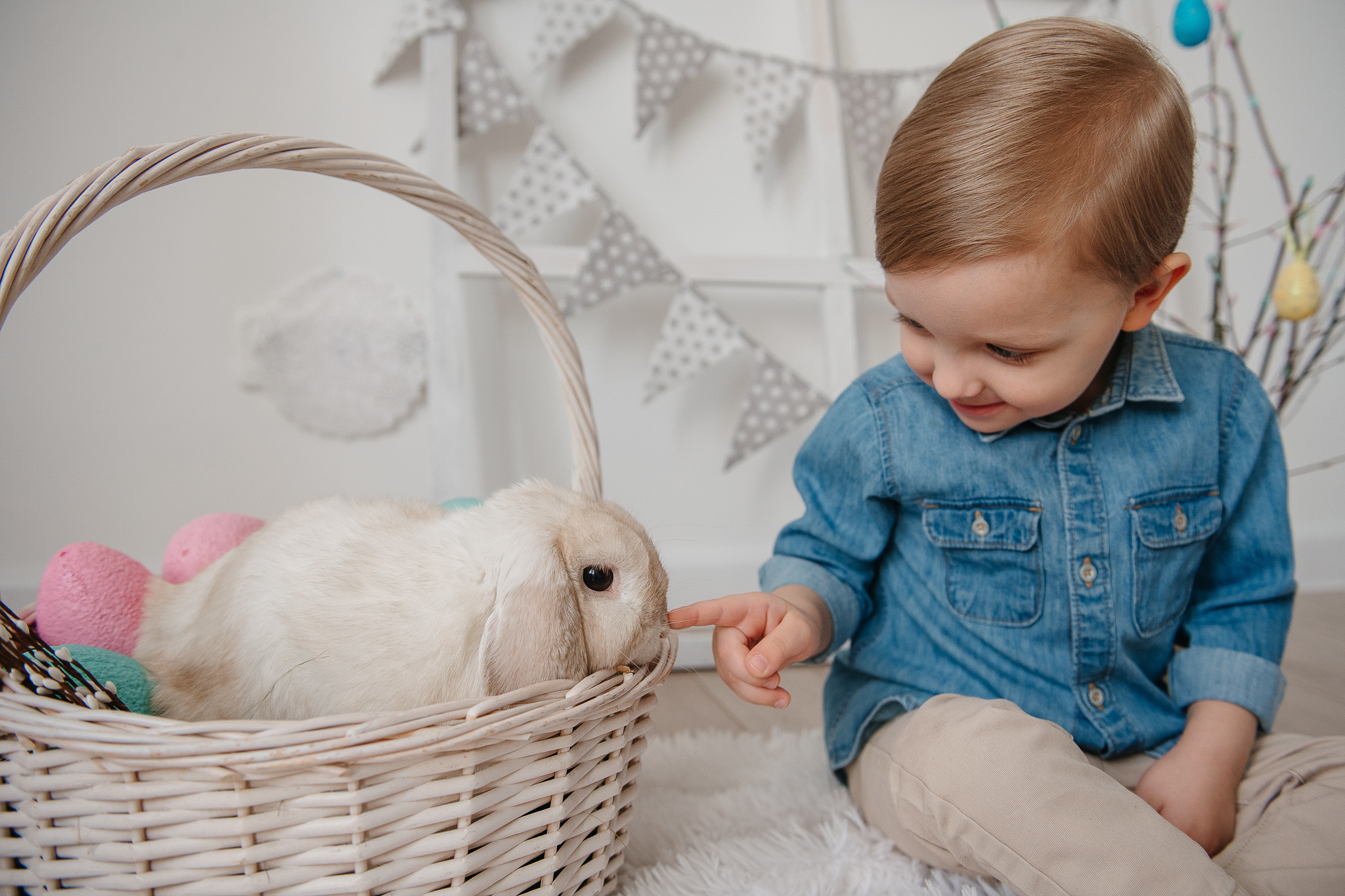 Лаврик. Фотограф Валерия Голубева (Миронова)