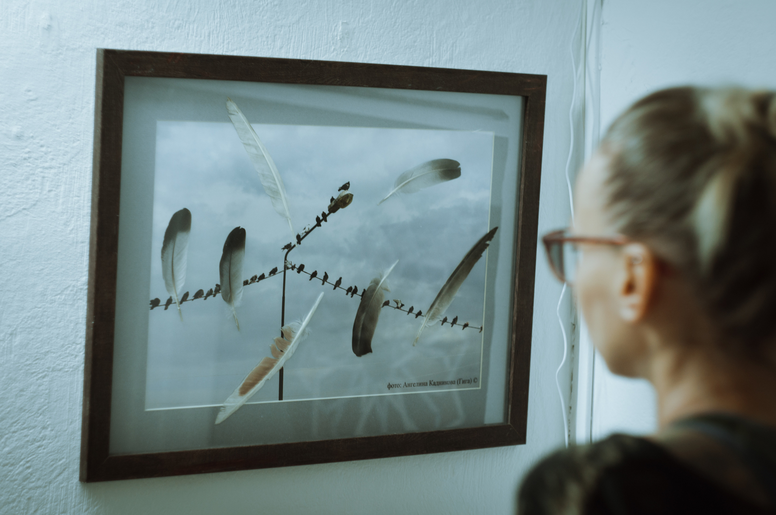 Выставка «Паттерн: повторение как одна из форм изменения». Репортажный фотограф в Симферополе Зареев Иван