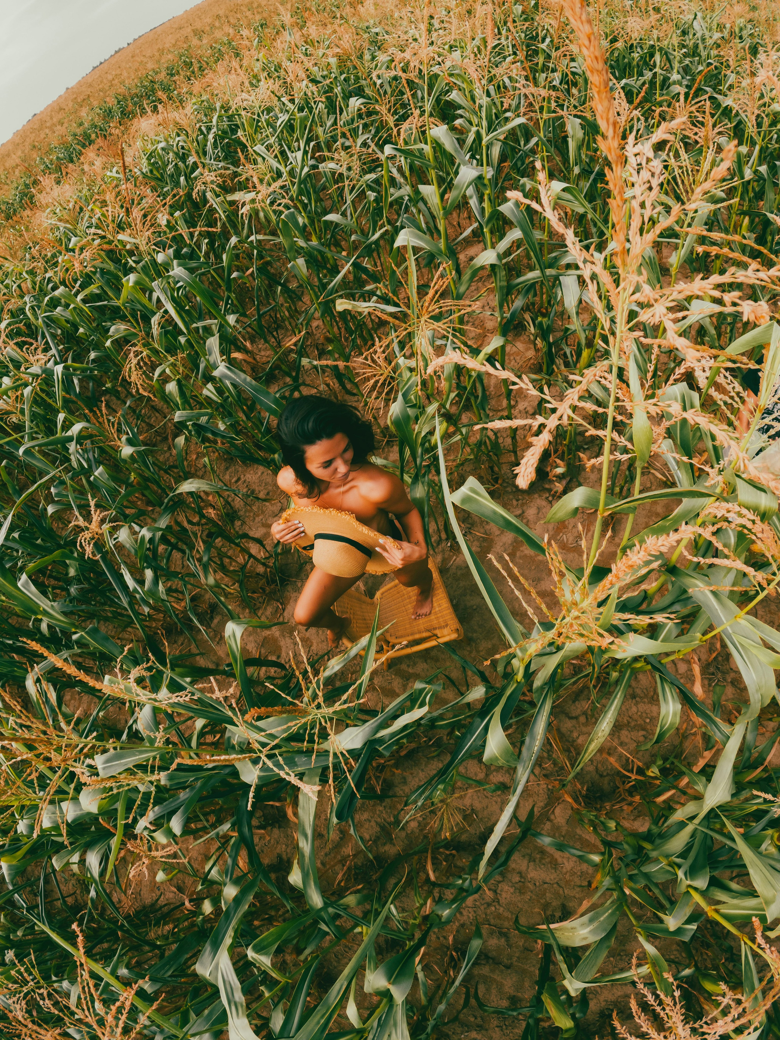 Mod. V — Царица полей. Frankstidda — photographer