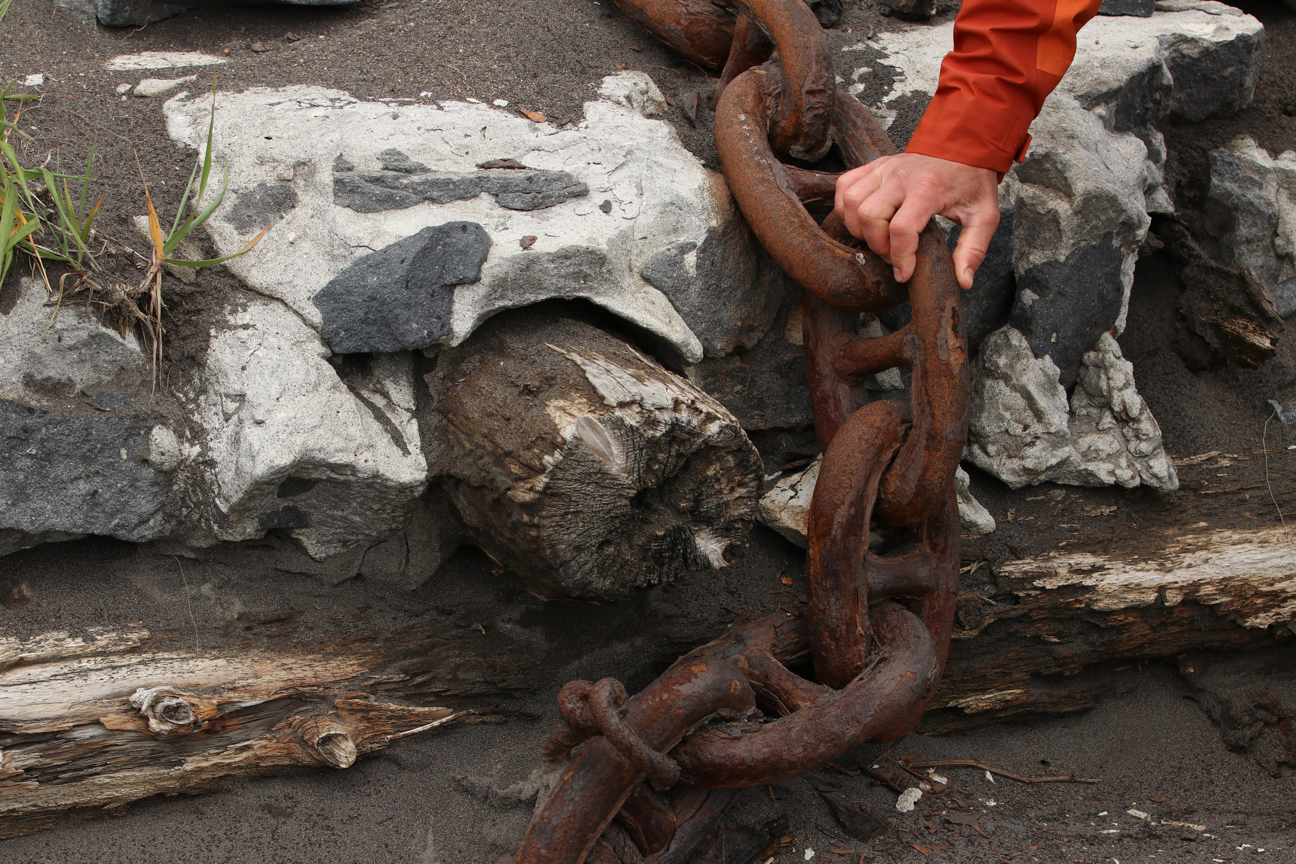 Камчатка и о. Парамушир. Июль 2024. Путешественник-фотограф из Санкт-Петербурга Татьяна Свистулина