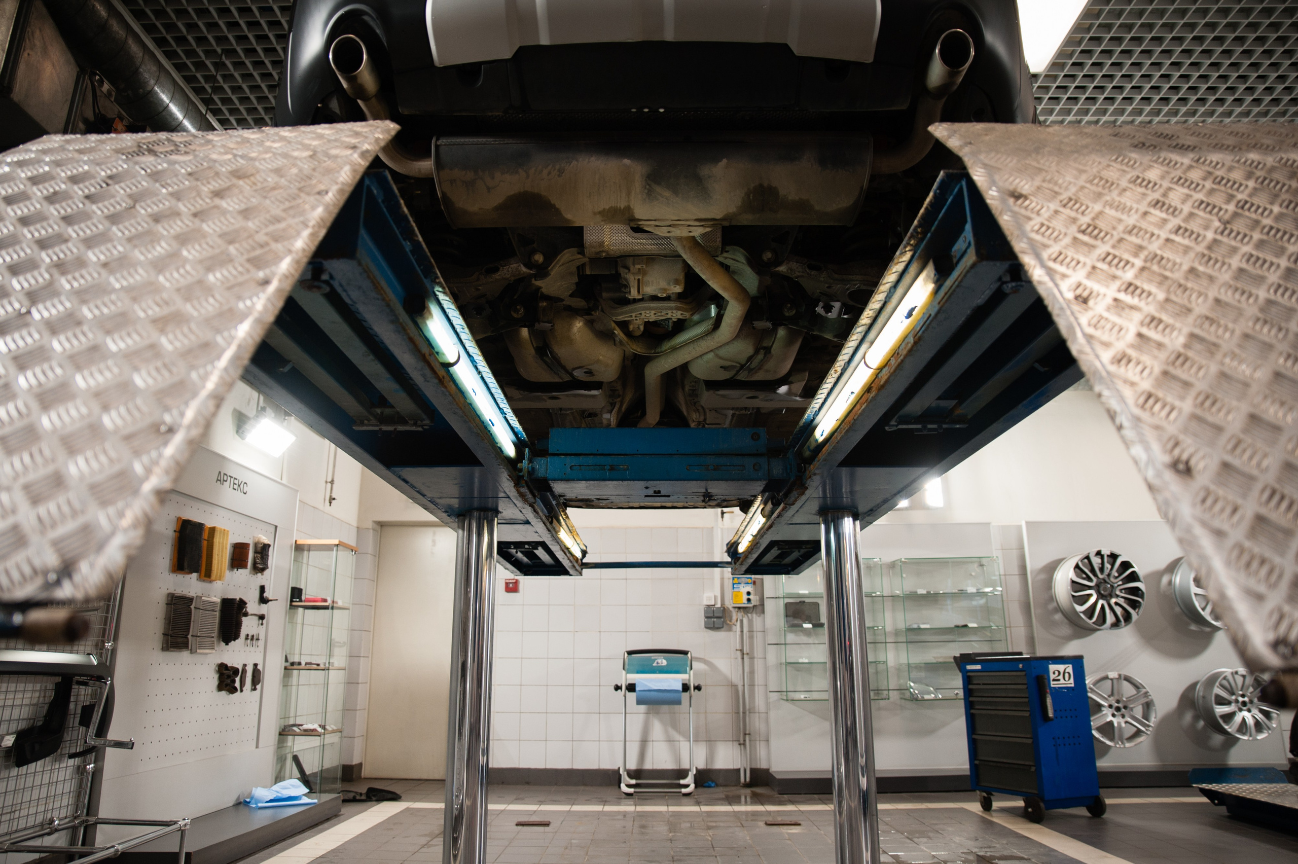 Артекс. Профессиональный фотограф в Москве Александра Харламова