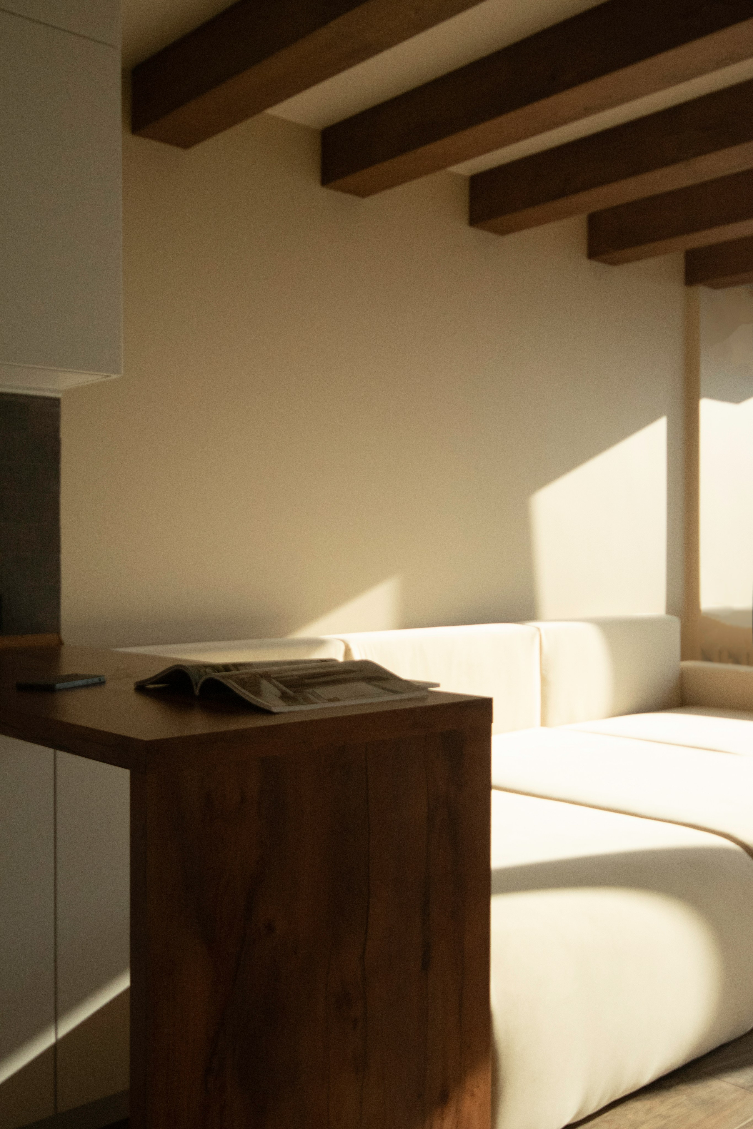 Кухня-гостиная. Пространство