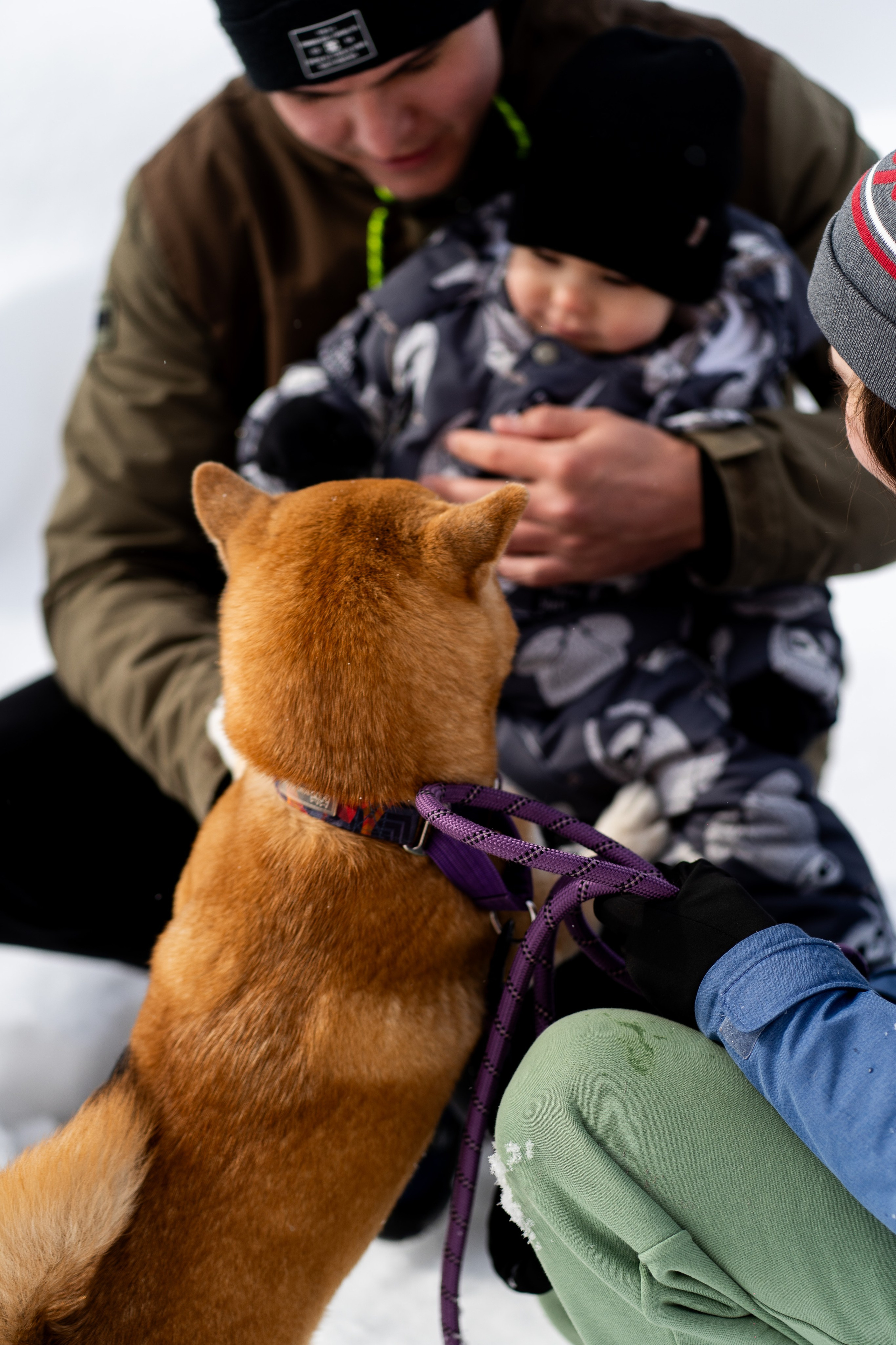 Соня&Лёня. Анастасия Паршукова — фотограф Шерегеш Новосибирск
