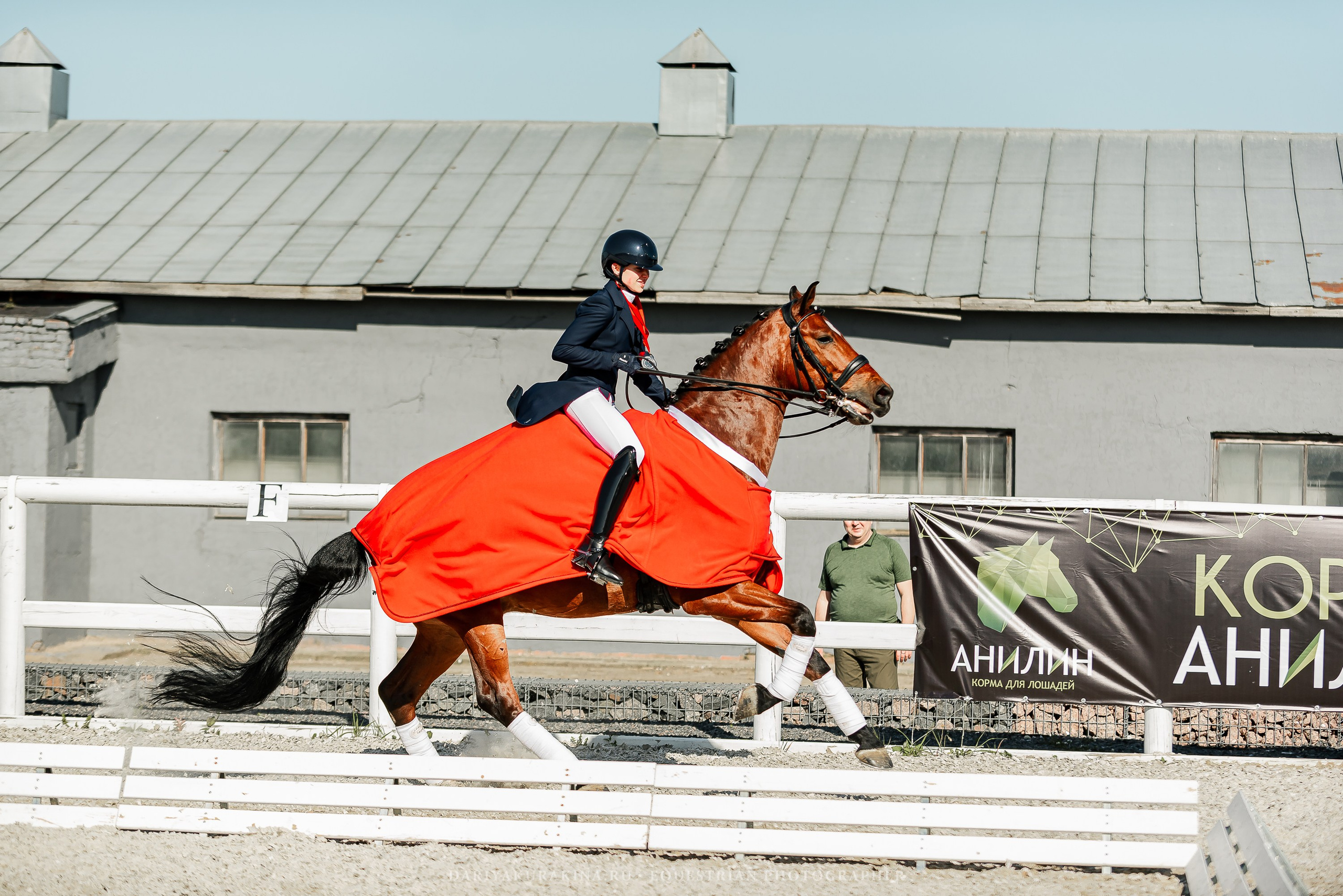 РЕПОРТАЖ МКК ВОЛЬТ «LA TULIPS». Конный фотограф Куракина Дарья • Фотосессии с лошадьми