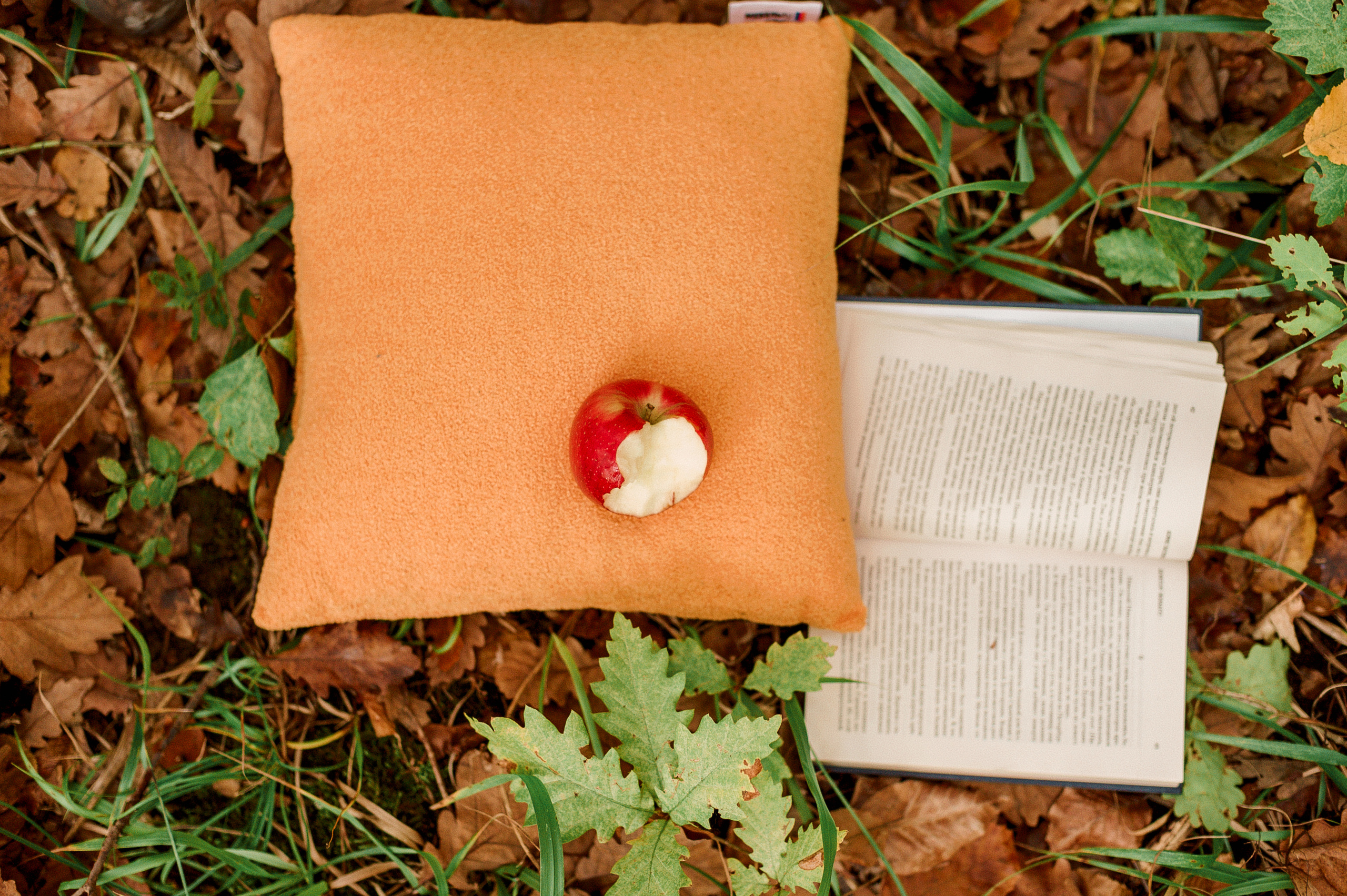 Съёмка беременности. Семейный фотограф Ульяна Вишнякова