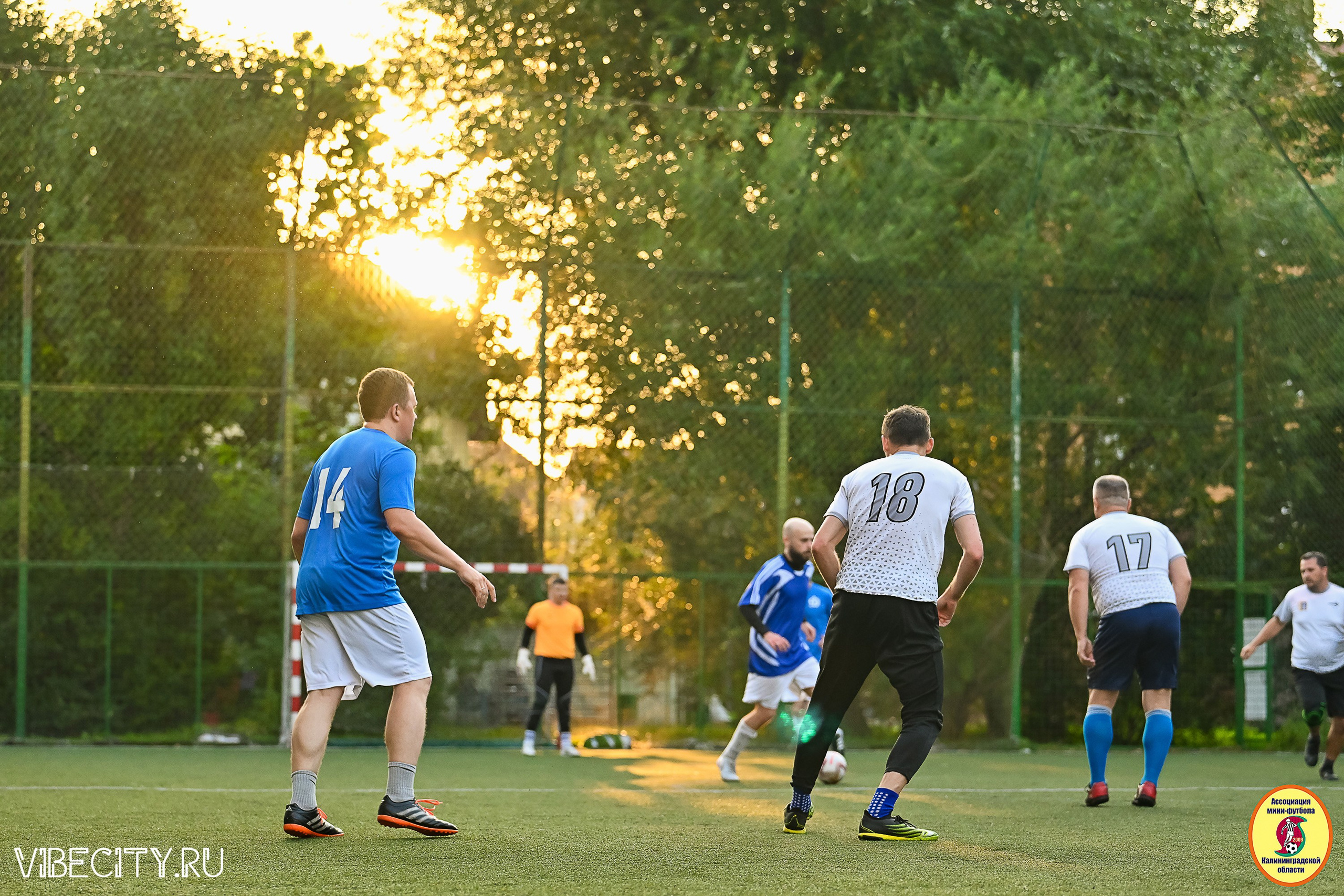 ИГРЫ ПЛЕЙ-ОФФ ПЕРВОГО ДИВИЗИОНА МИНИ-ФУТБОЛЬНОЙ ЛИГИ. VIBECITY.RU Вайб Сити Ру Фоторепортажи Фотоотчеты Калининград