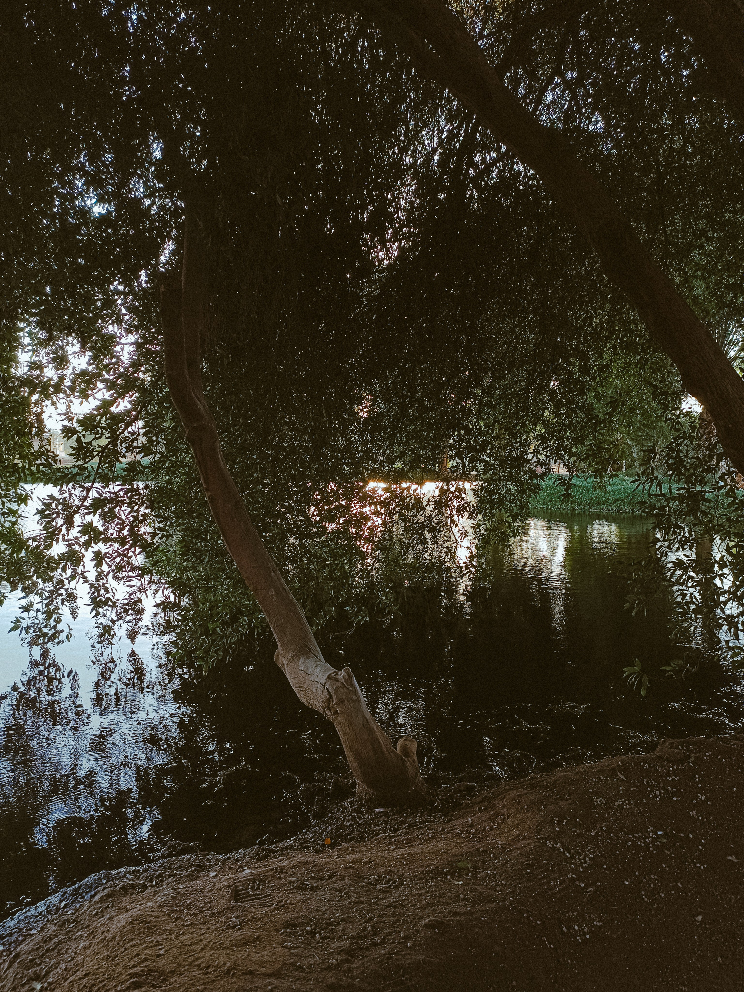 Мобильная. Jorgis — фотограф в Хургаде / обучение фотографии