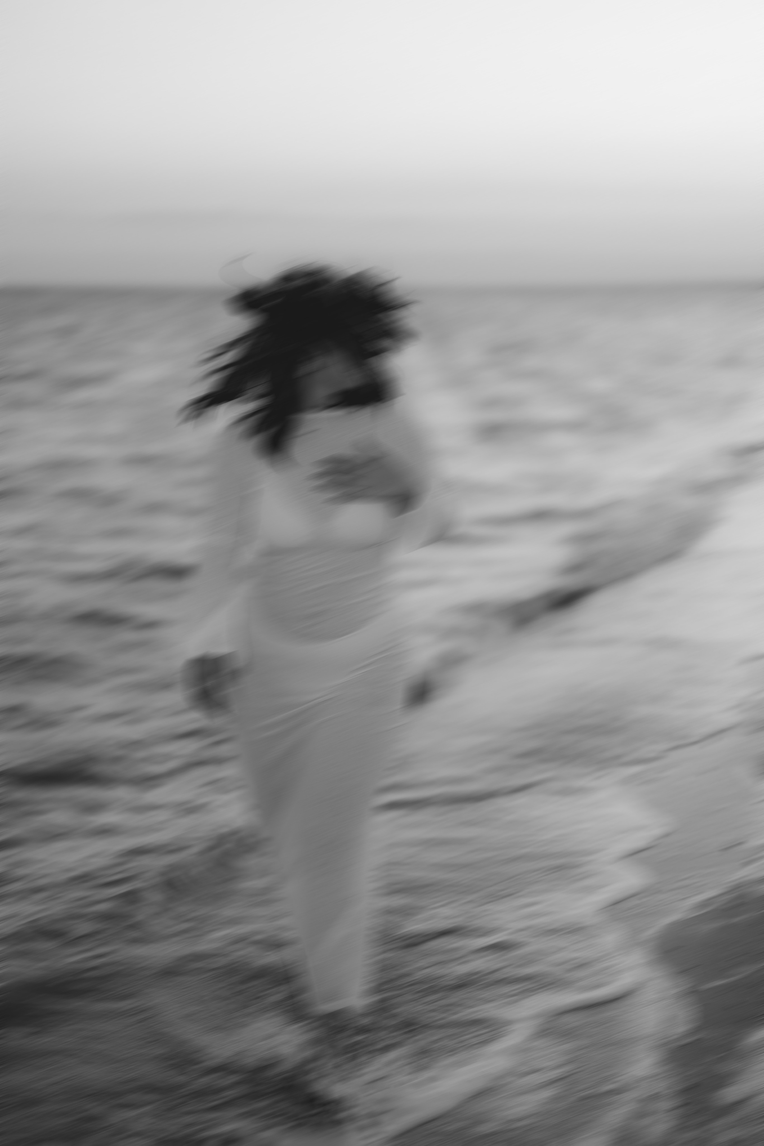 Николай и Анастасия. Главная