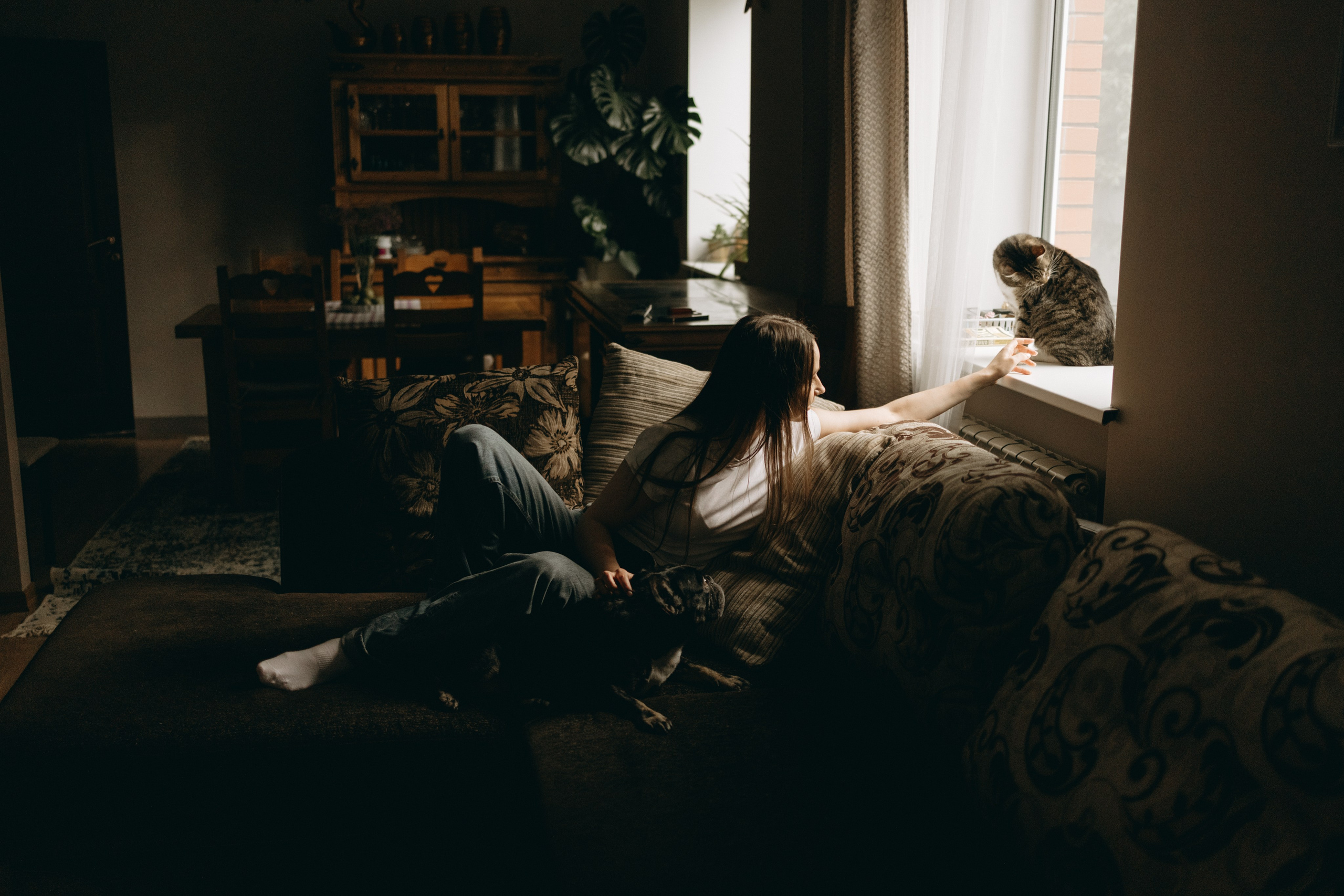 Софа и ее хвостики. Фотограф — Анималист | Санкт-Петербург