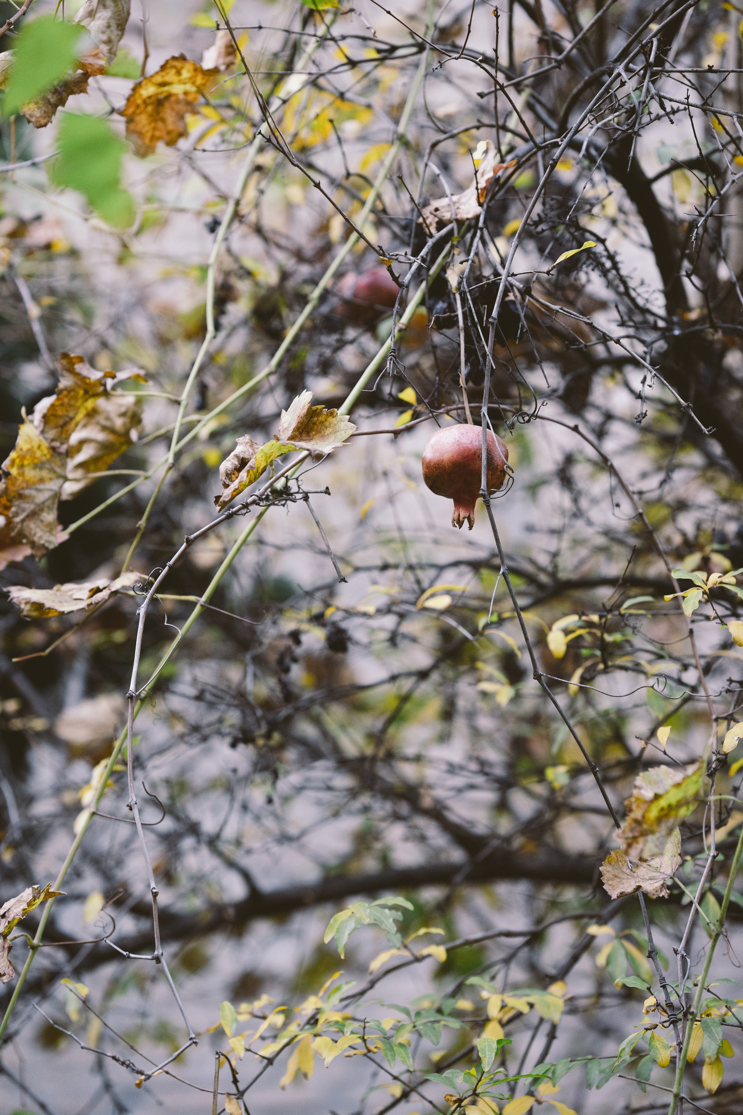 …история о прогулке в старом городе и семье. Марковы: фото, видео, кино и книги