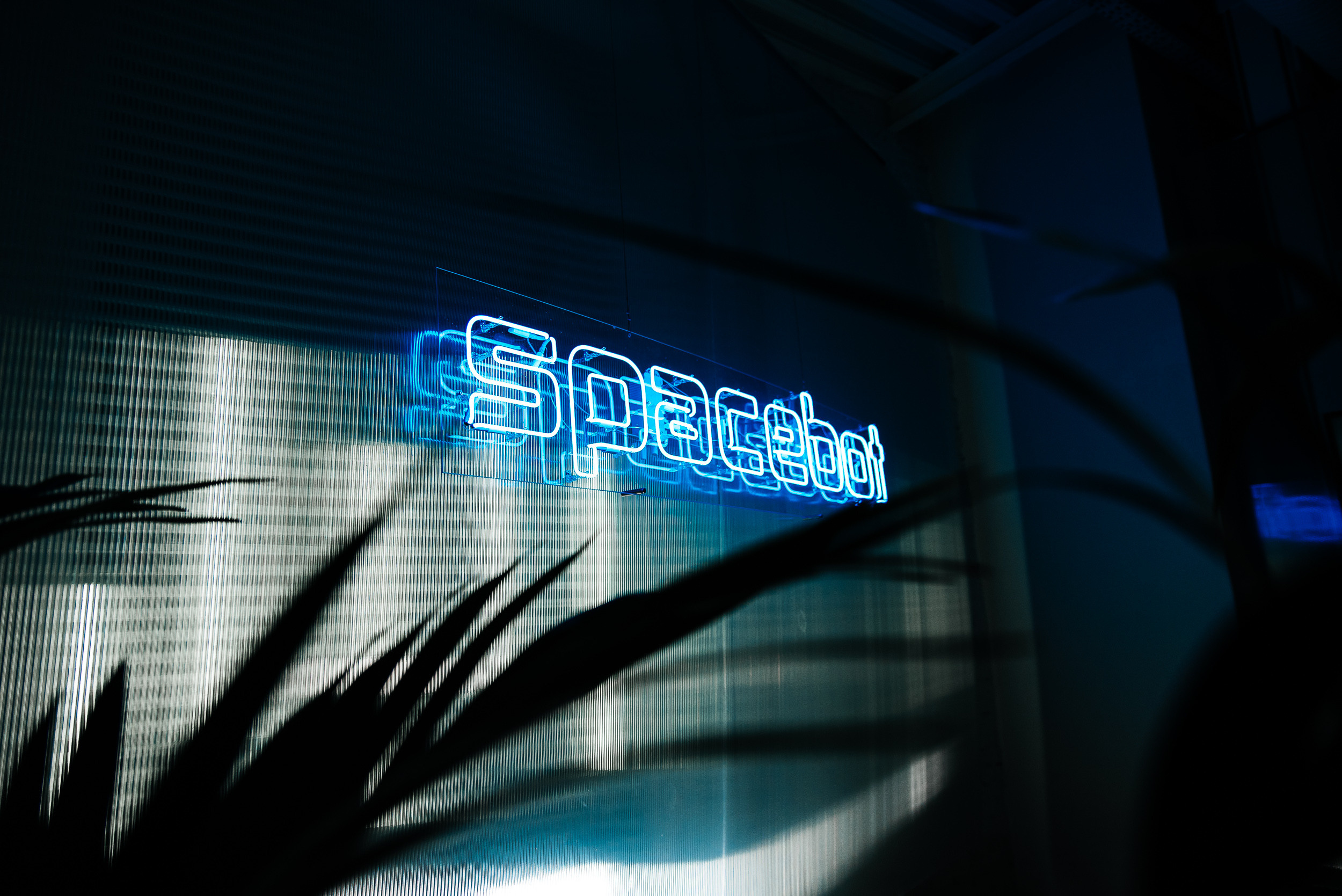 Репортаж. Фотограф Илья Бызов, Свадебный и репортажный фотограф Сочи