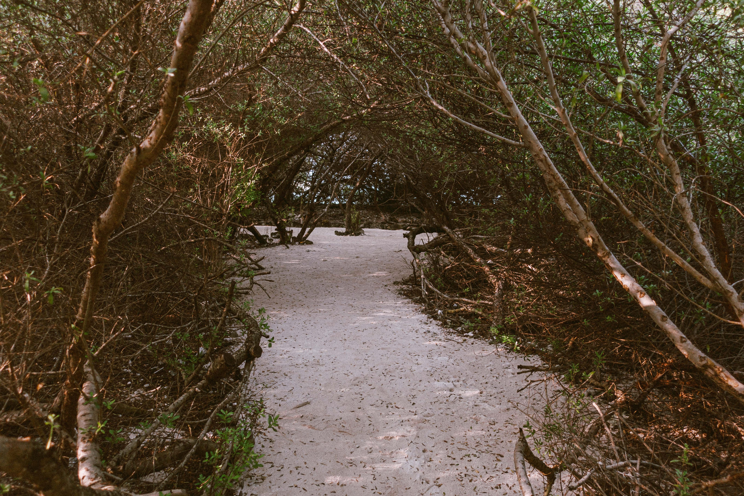 О.Тулусду. Мальдивы. Фотограф Светлана Голицына