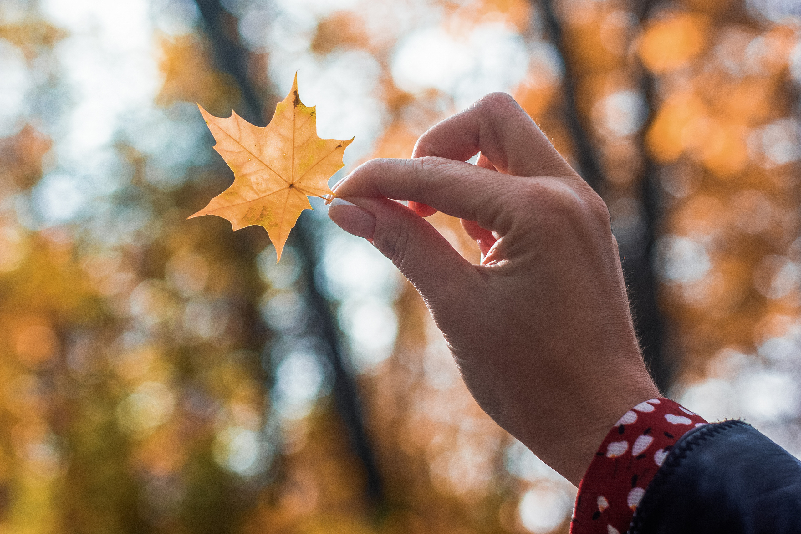 Индивидуальная фотосъемка. Фотокниги и выпускные альбомы в Иваново