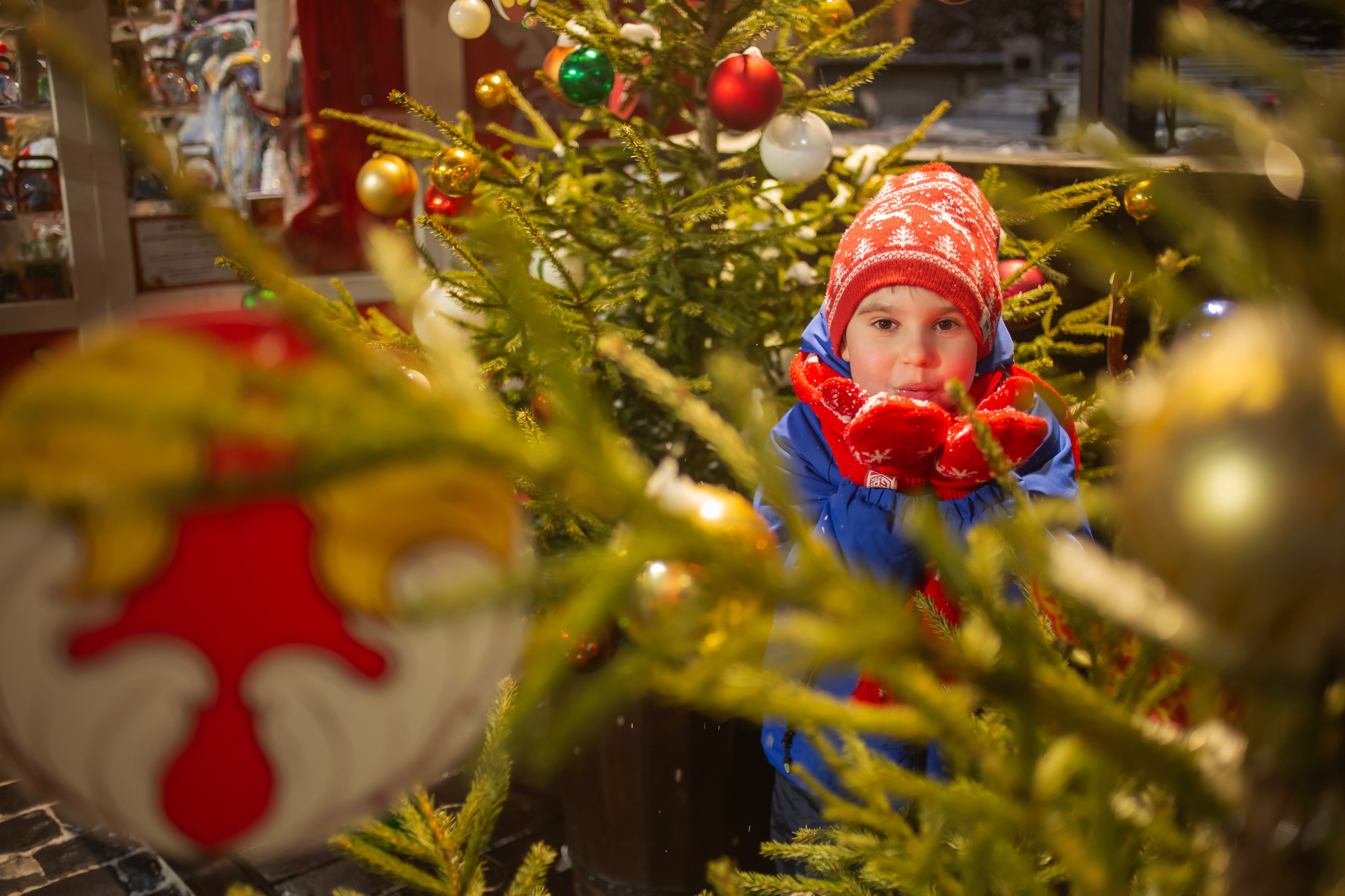 Новый год 2025. Семейный и детский фотограф в Москве и МО — Александра