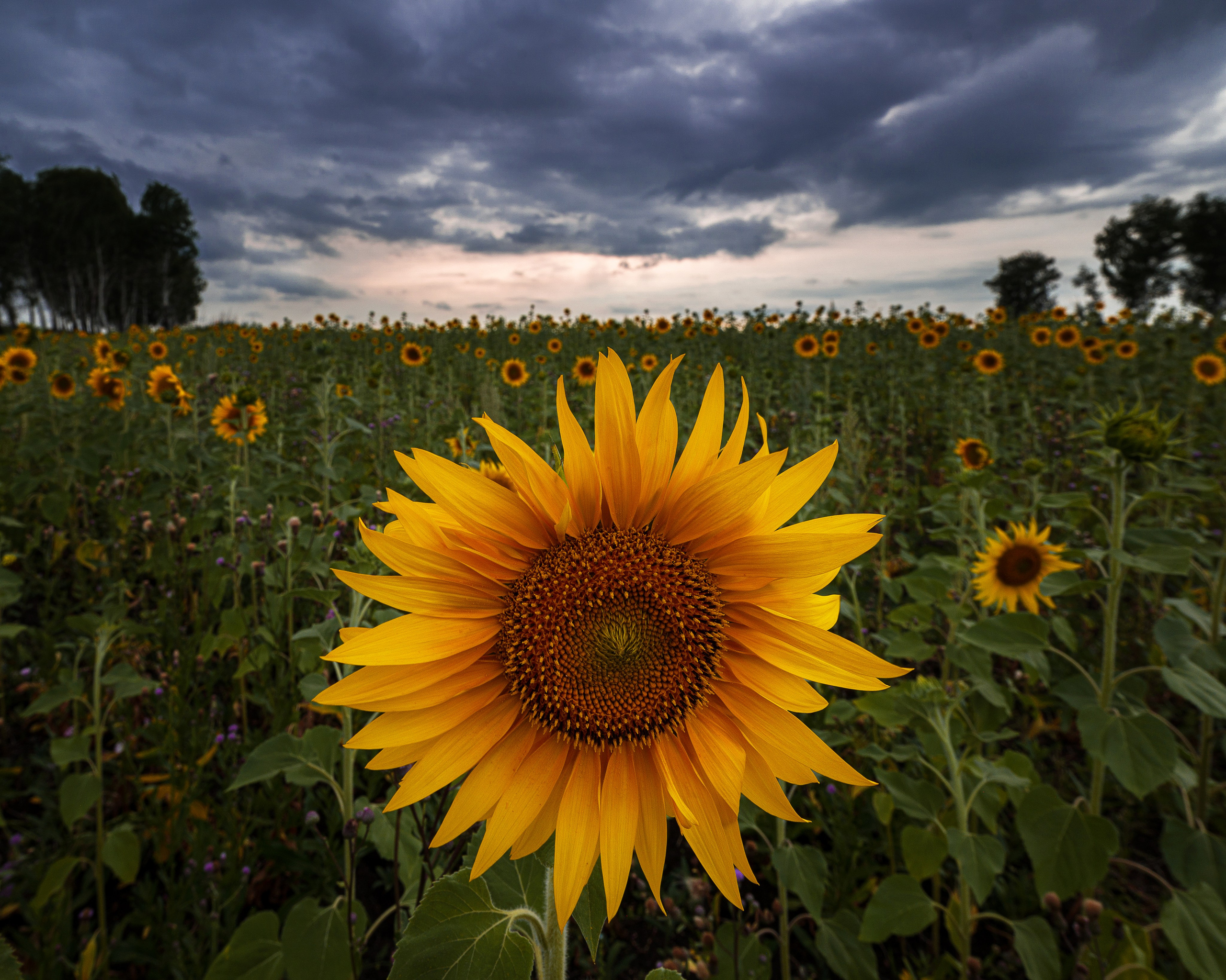 Челябинская область. Портретный фотограф в Челябинске Катерина Руди