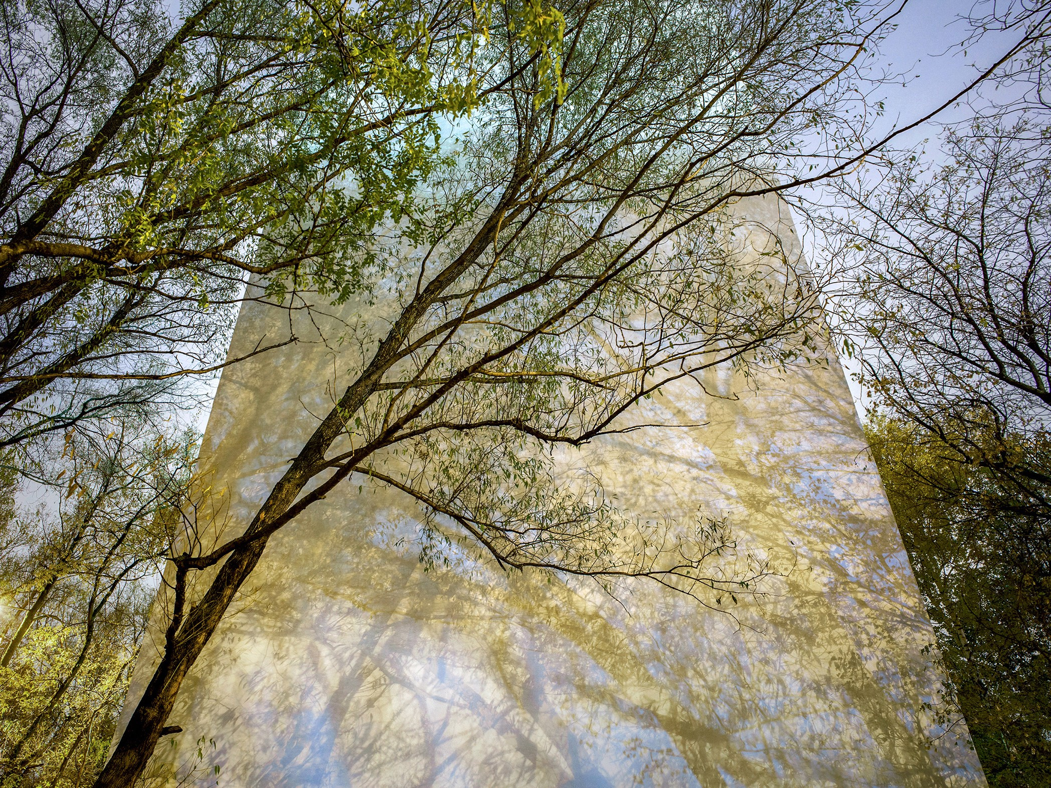 Симуляторы (Каталог № 1). Главная