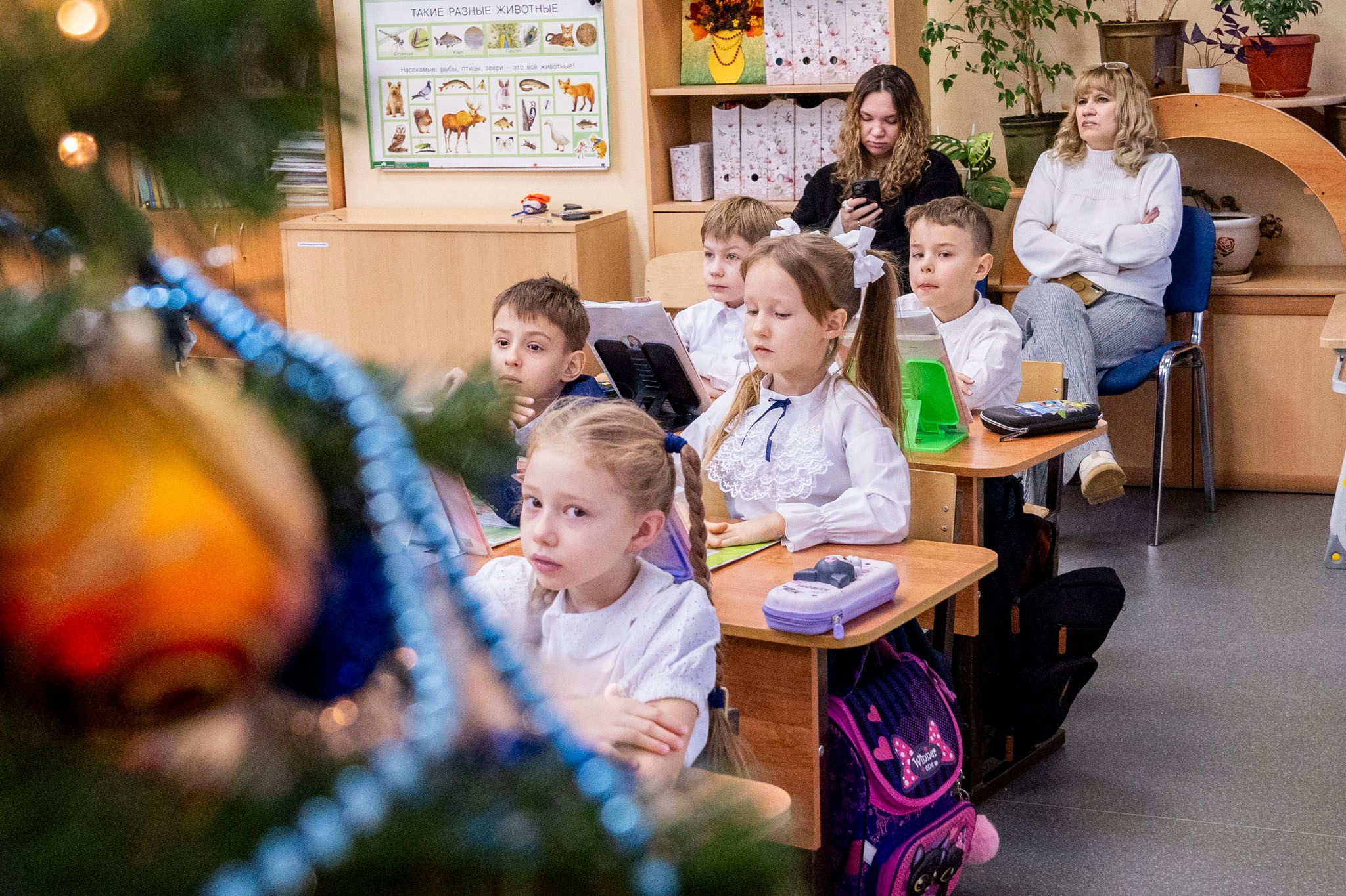 Открытый урок в 1 классе. Фотограф Юлия Попова