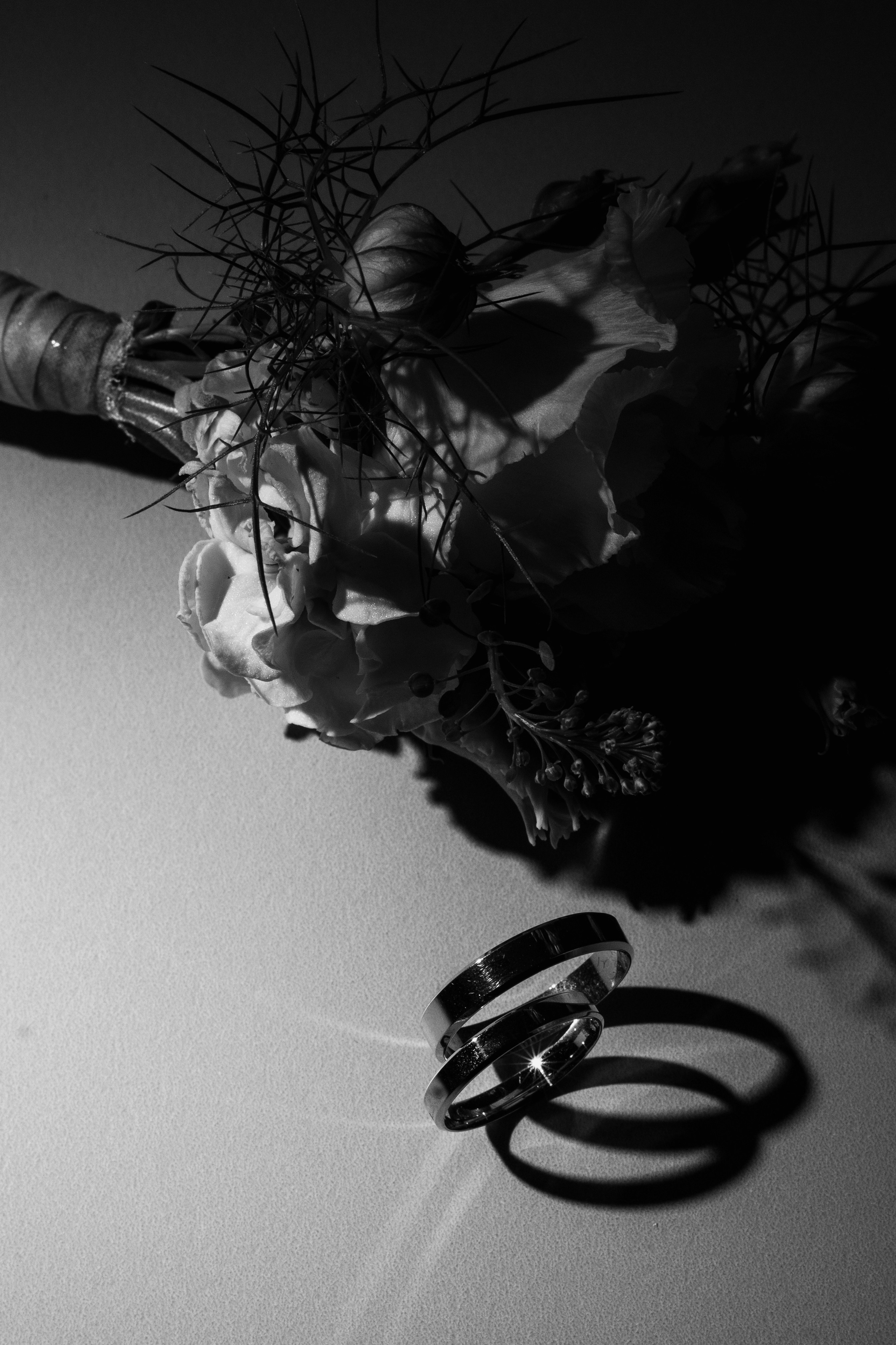 Игорь и Елена. Настя Лекса. фотограф г. Красноярск