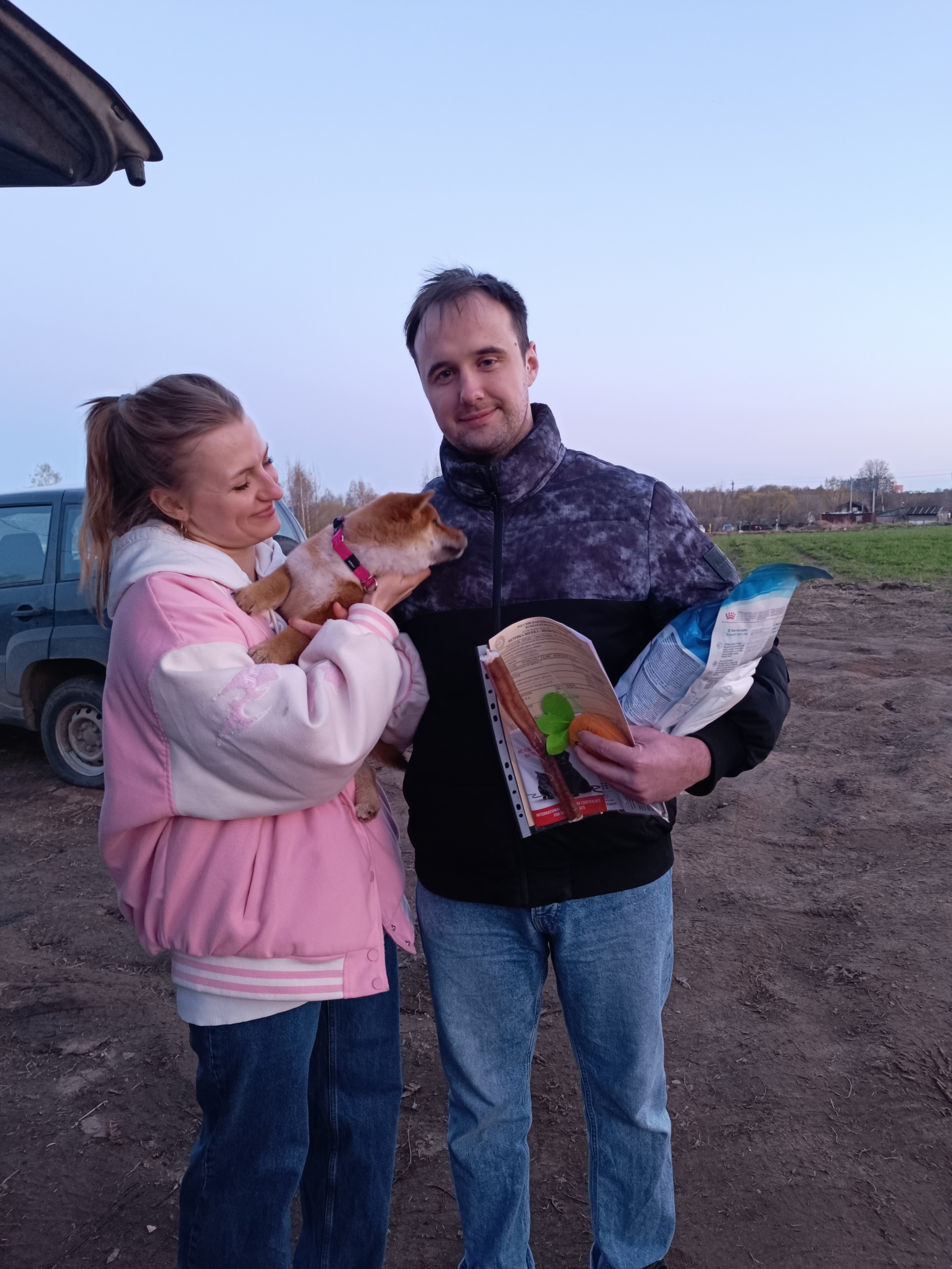 Сиба Rubylight Ellis питомник Рубилайт