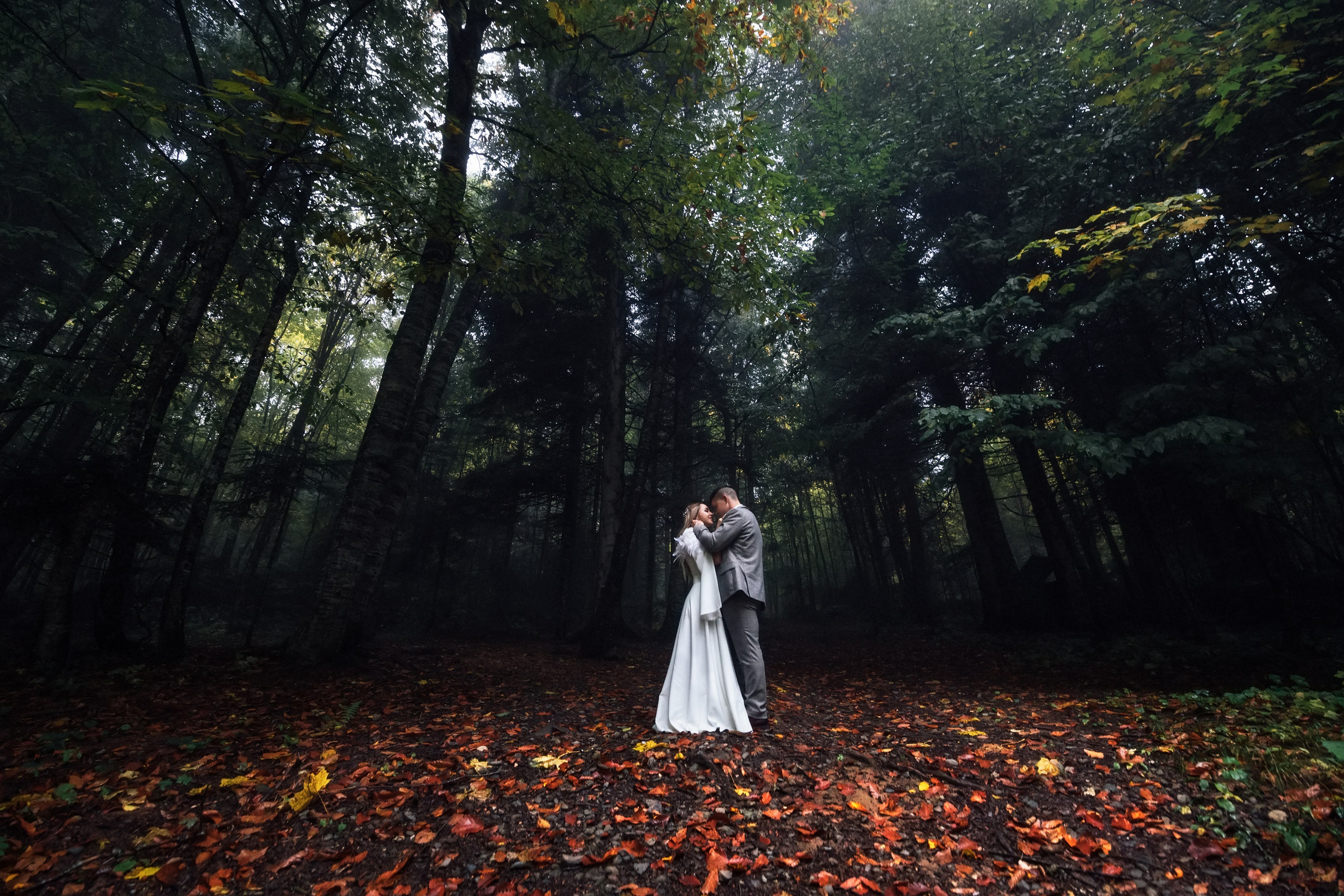 Свадебная съёмка. Фотограф Александр Фёдоров