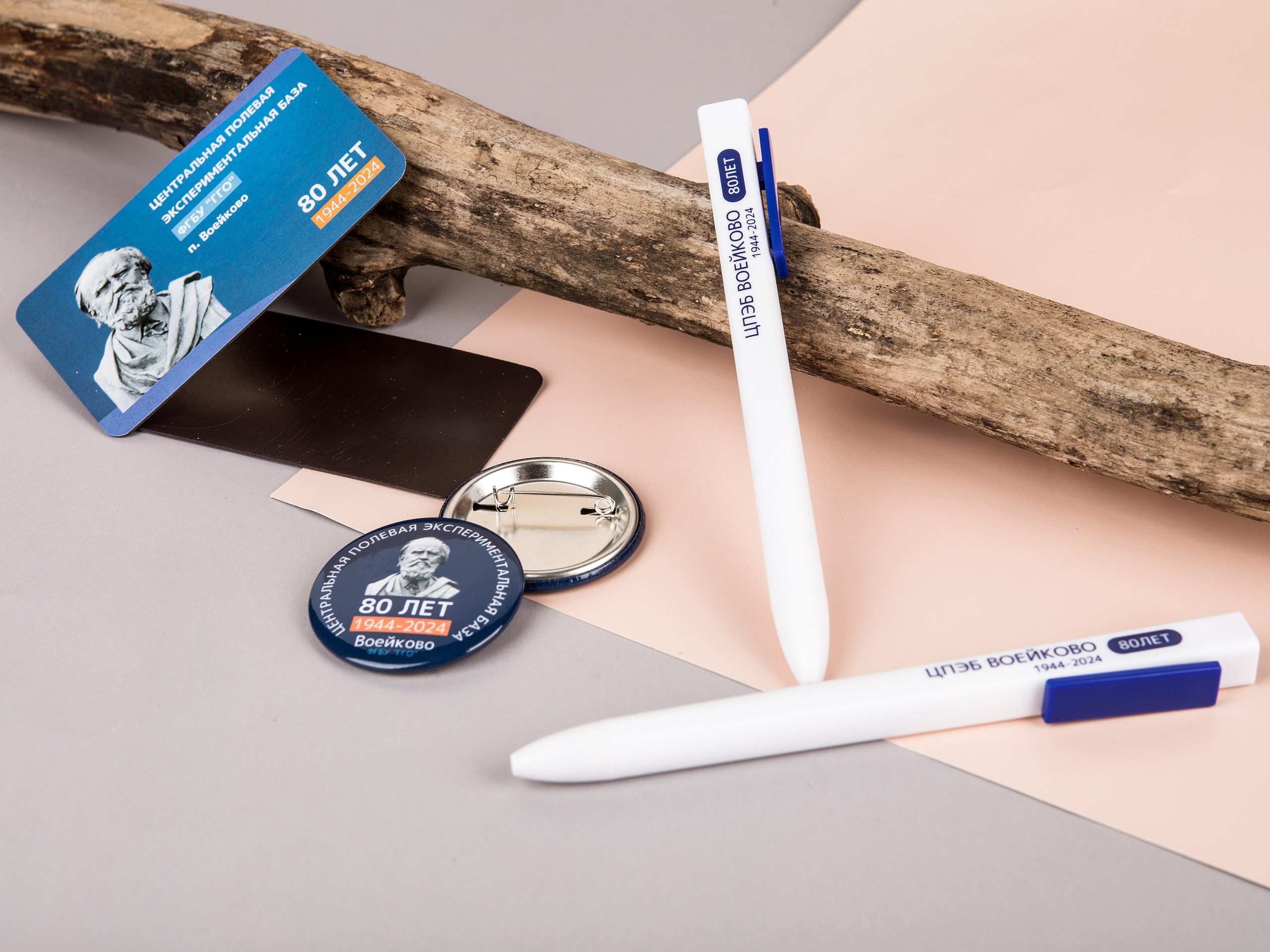 Типография Алес. Предметный и семейный фотограф в Санкт-Петербурге Катерина Стеклова