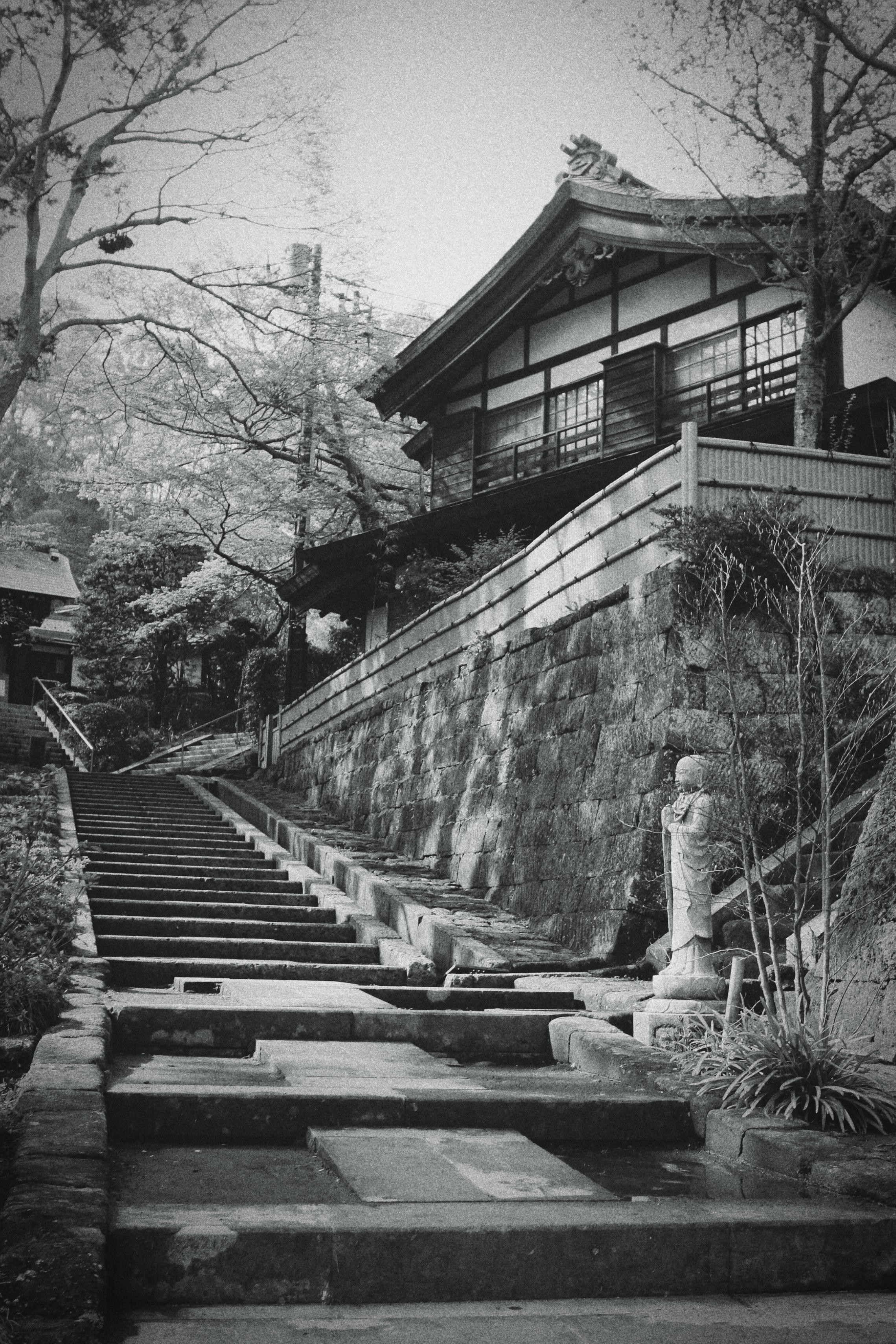 Япония. Фотография, ретушь, сканирование, восстановление старых фото, интерьерная съёмка, студия. Данилов Александр, Москва