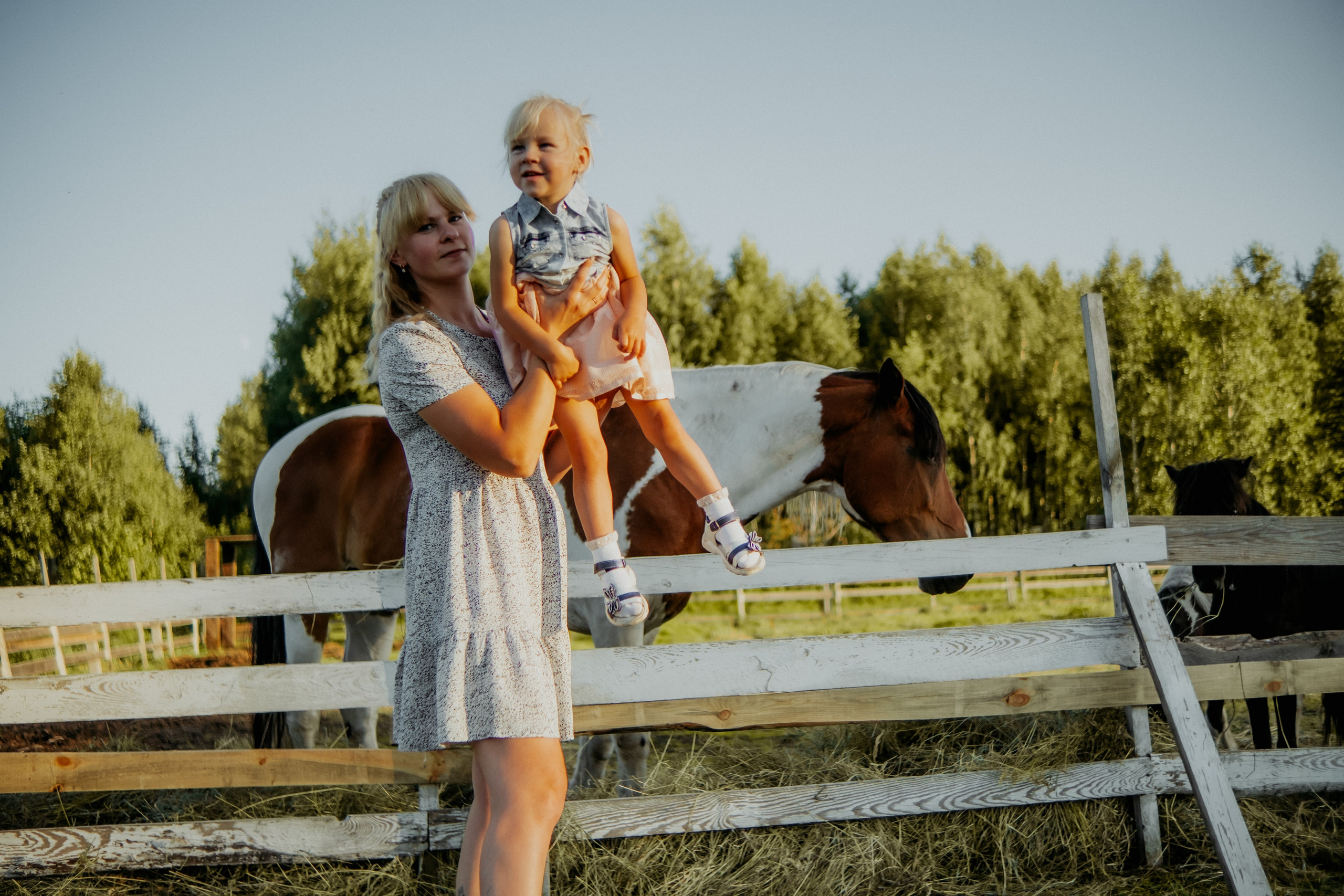 Семейная съемка в лованде. Nattie.ph