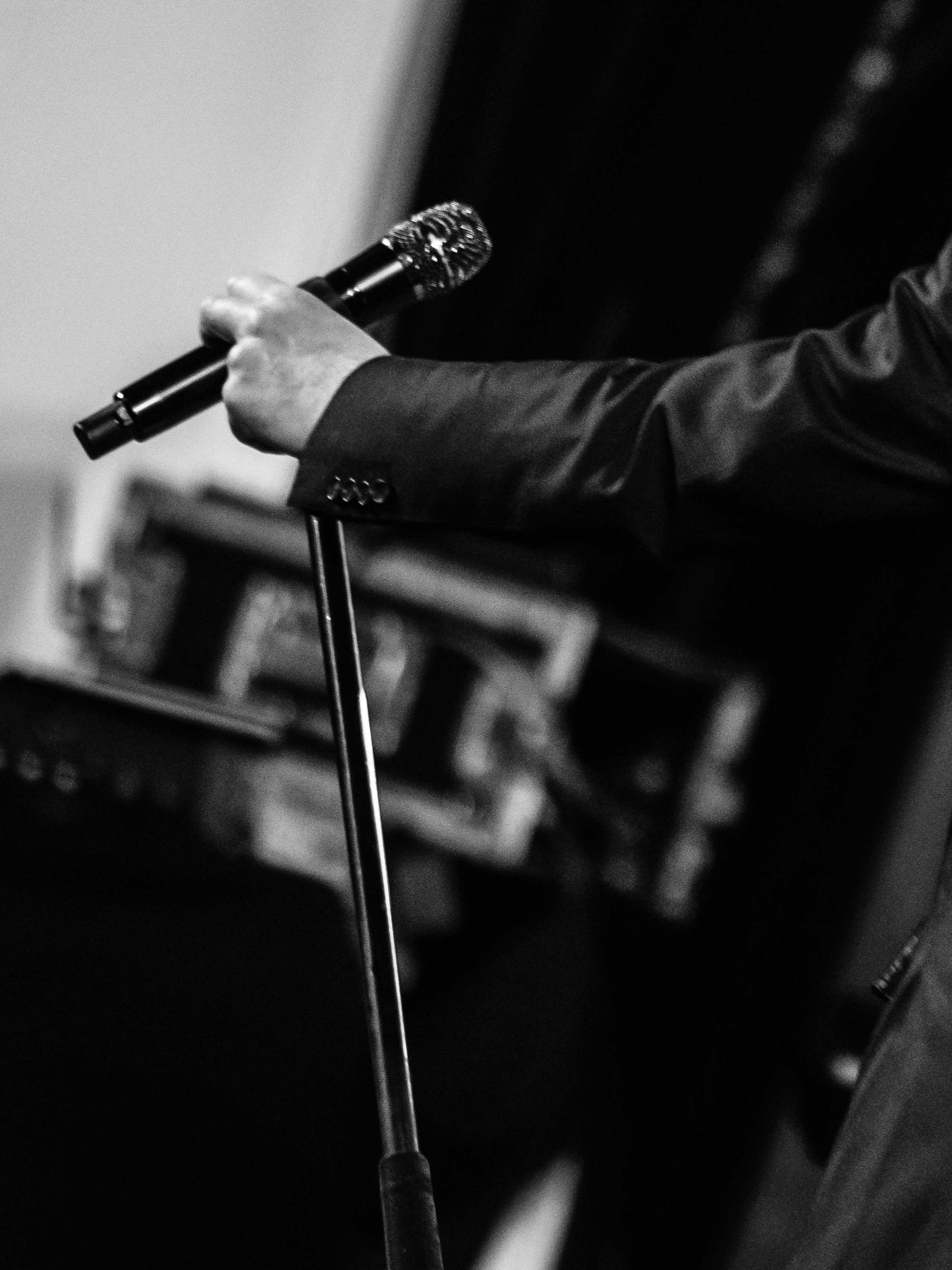 Григорий Лепс, Сергиев Посад. Фотограф Ольга Махалова — Санкт-Петербург, Москва, Нижний Новгород