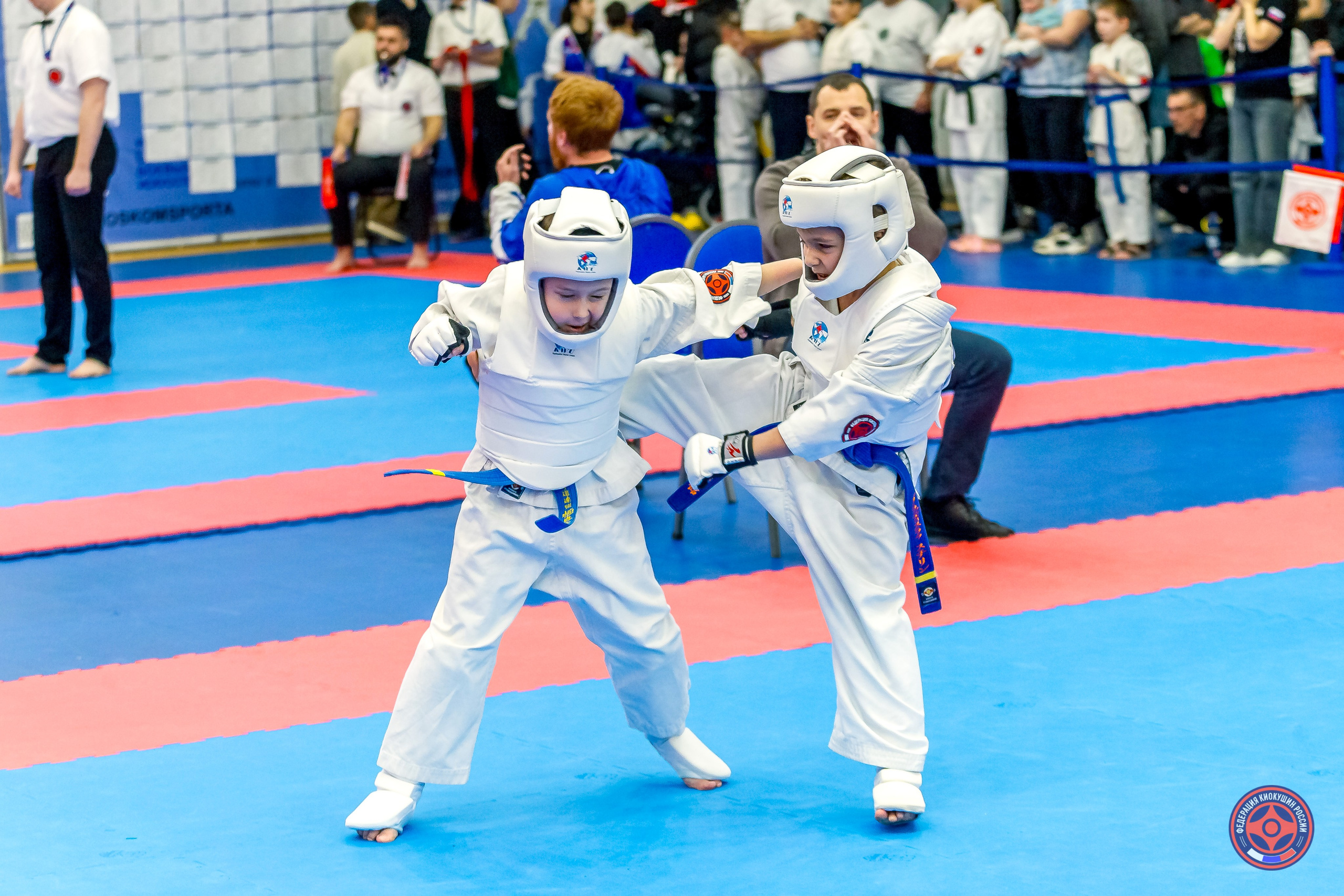 Международный турнир по киокушин «Открытый кубок Seiken». Репортажная съемка в Москве и области. Анималистика