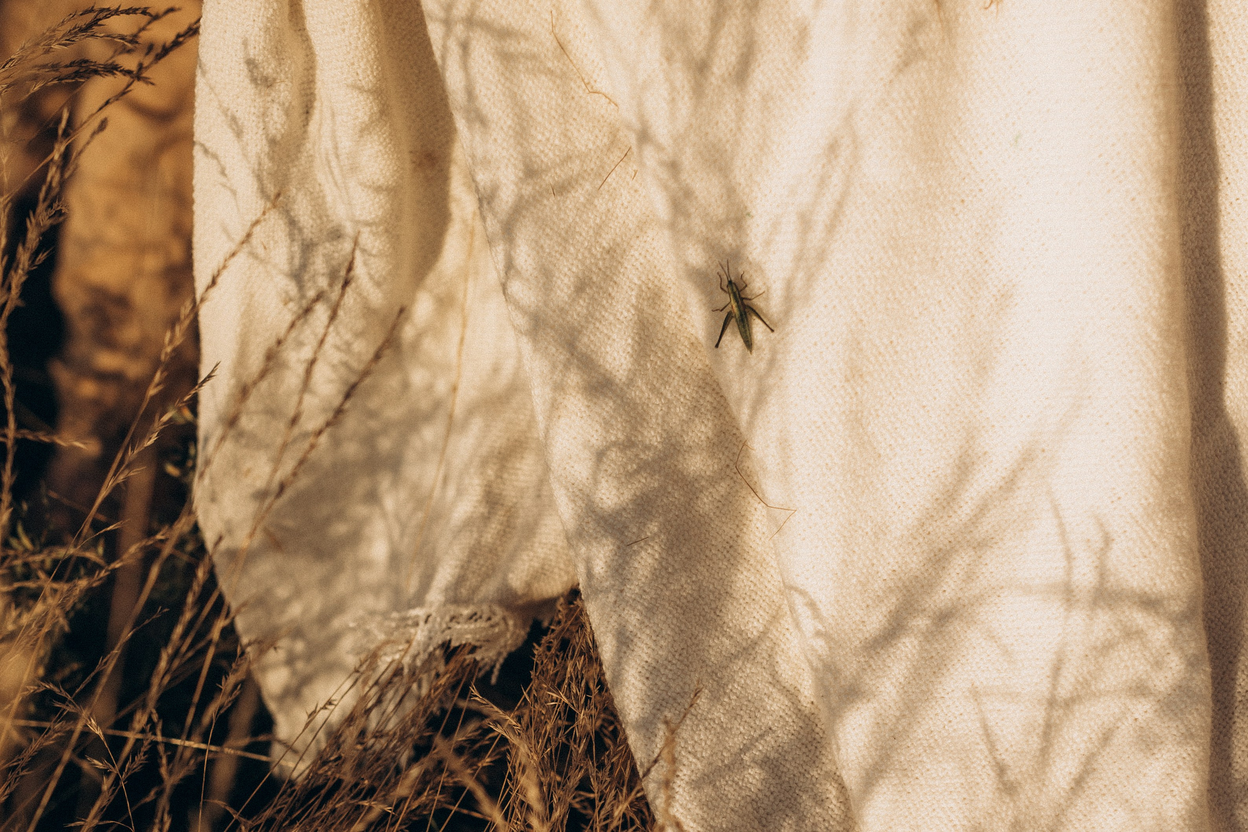 Ольга и ее большая семья. Семейный фотограф lifestyle в Новосибирске Елена Шпилевая