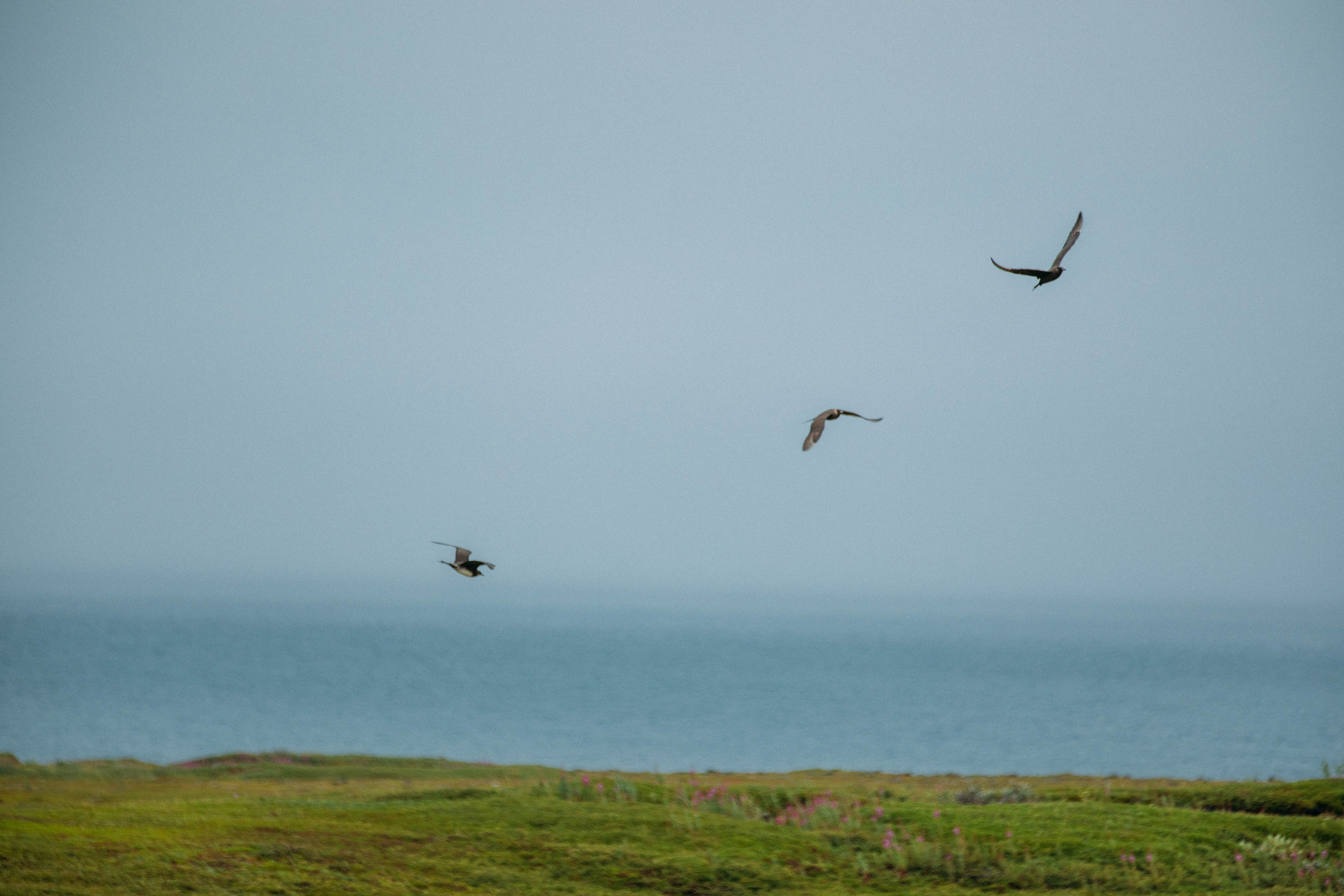 Кольский полуостров. Фотографирую для себя, своей семьи и друзей!