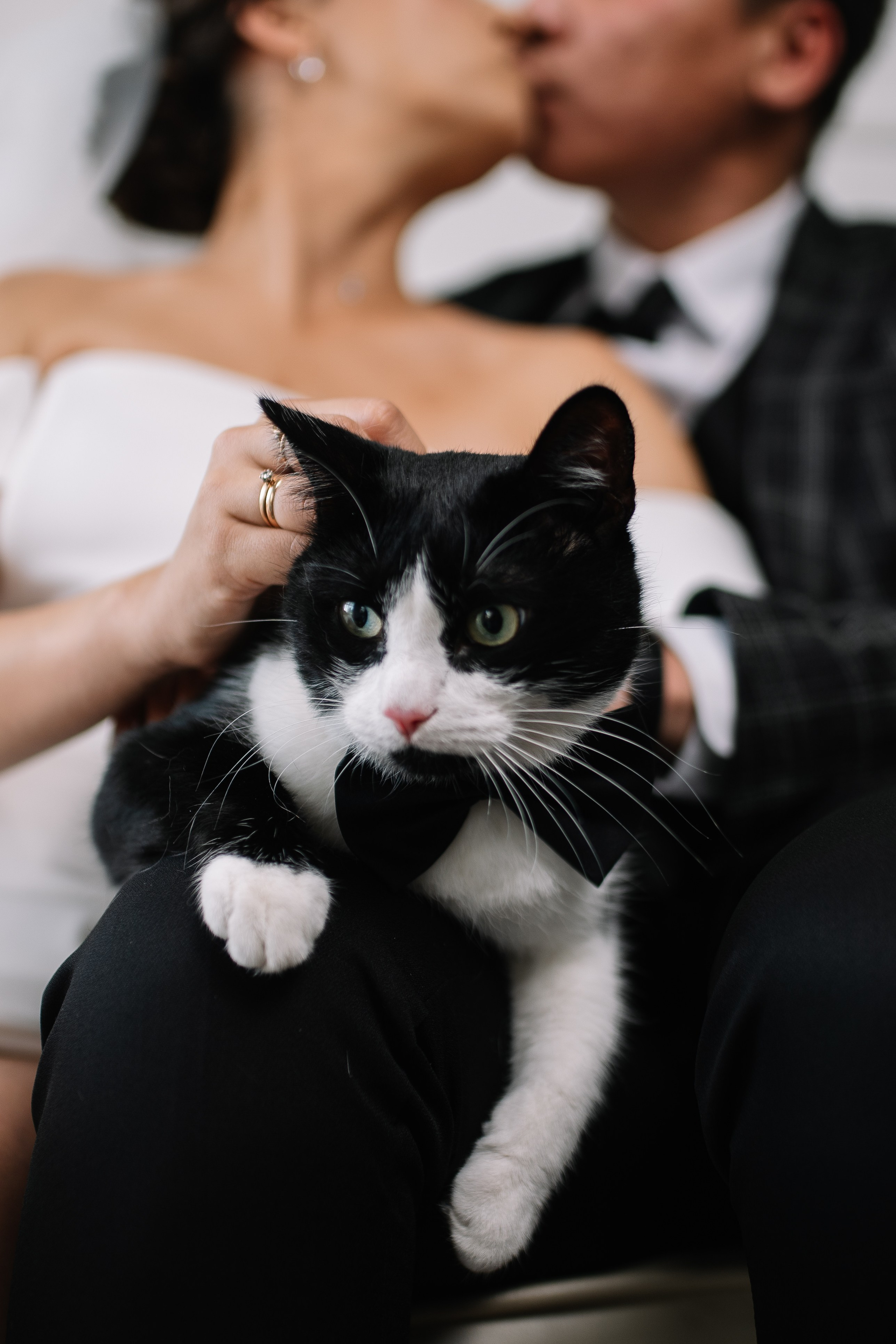 Вадим и Зарема, 07.09.2024. Свадебный фотограф в Сибае Елена Самарина