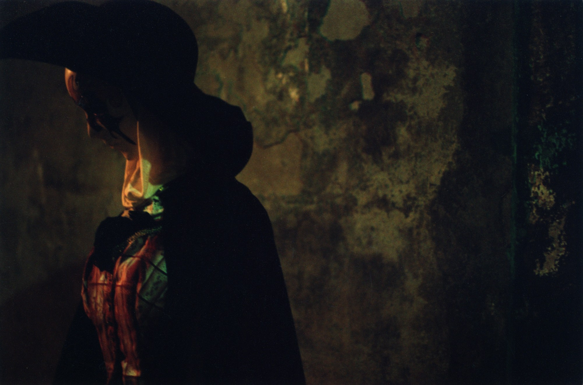 Art Series. Елена Цихон художник фотографии и мастер фото-ДНК