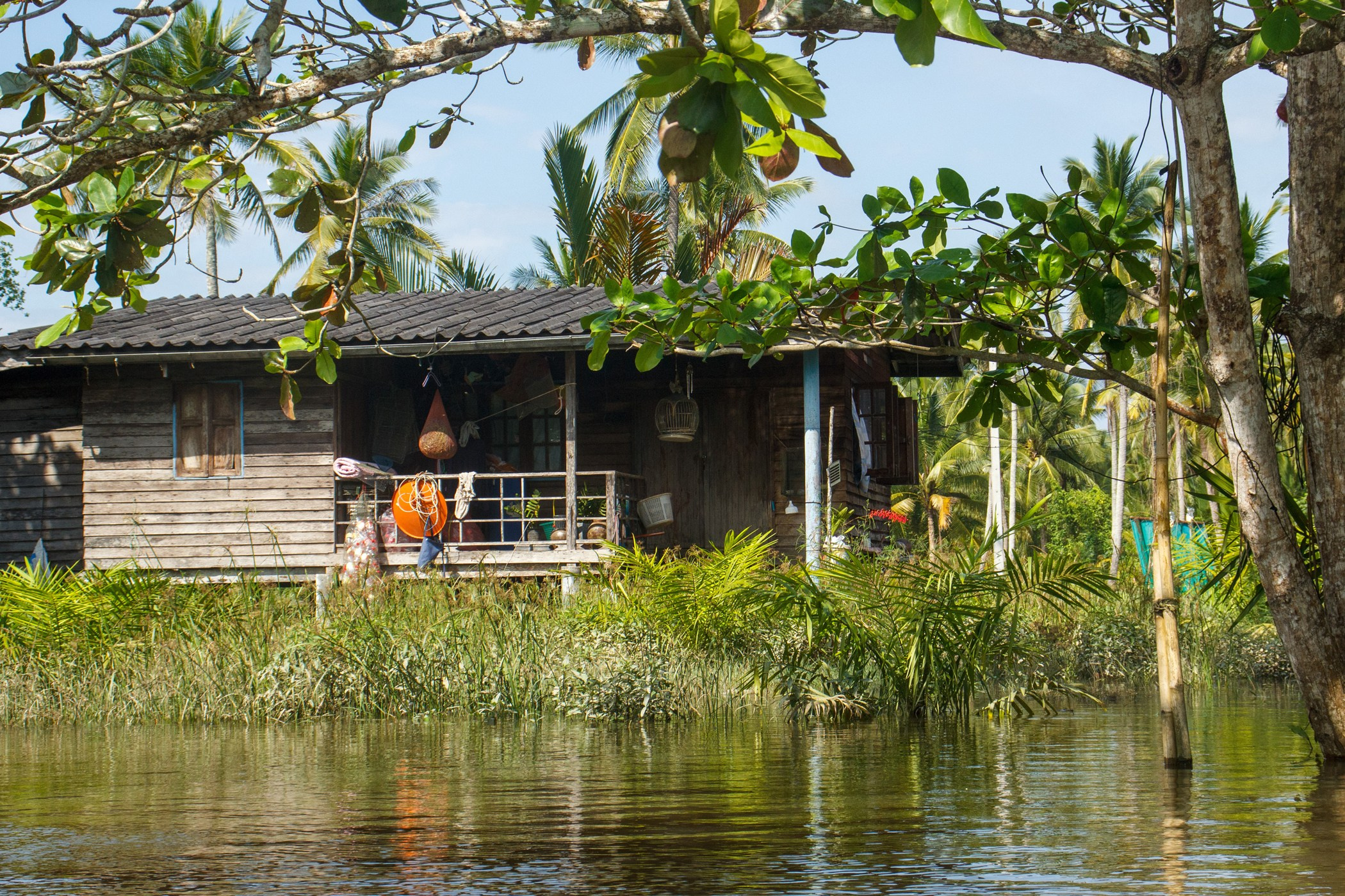 Сураттхани. Photographer in Phuket