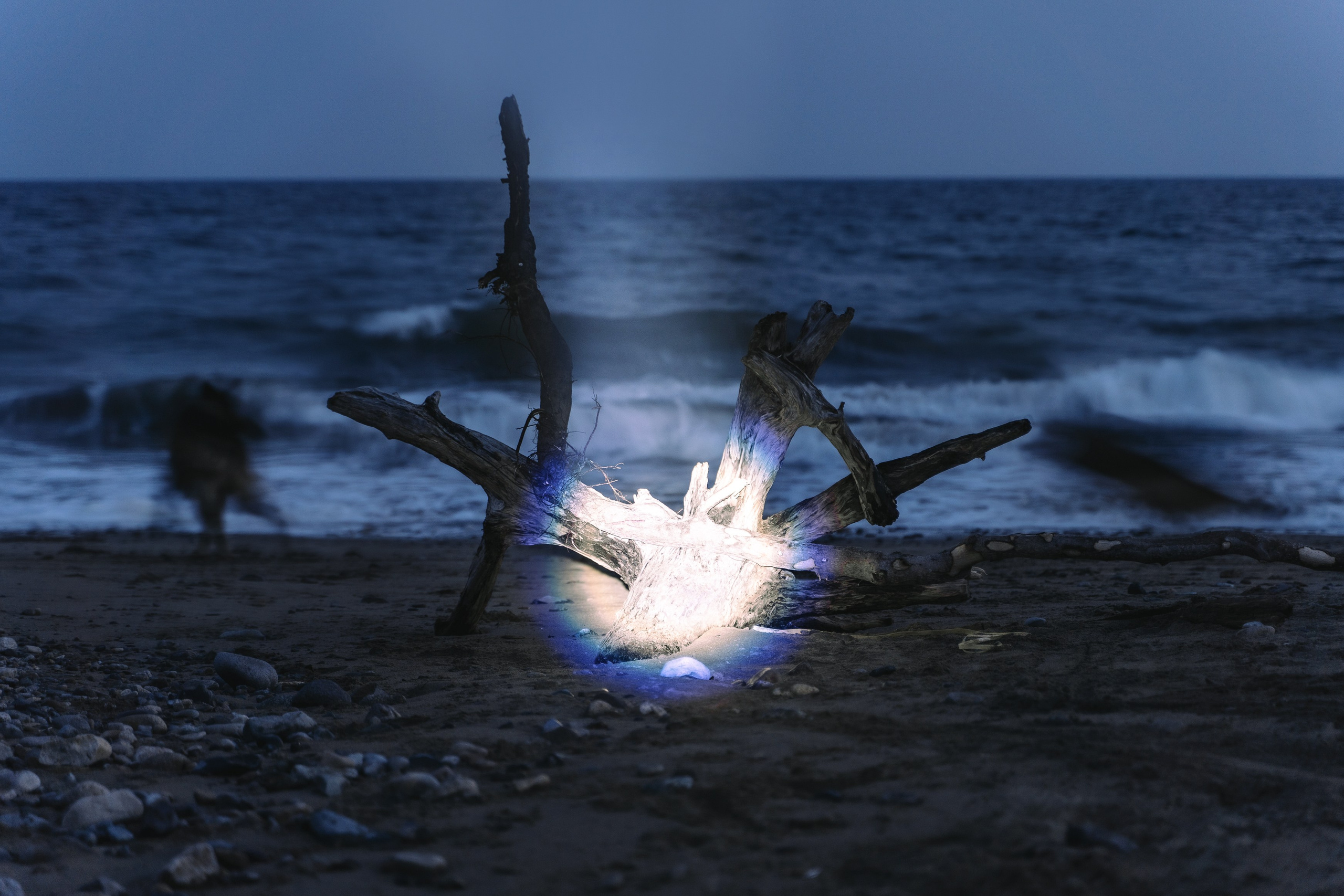 Планета Колыма. Элина Гусарова