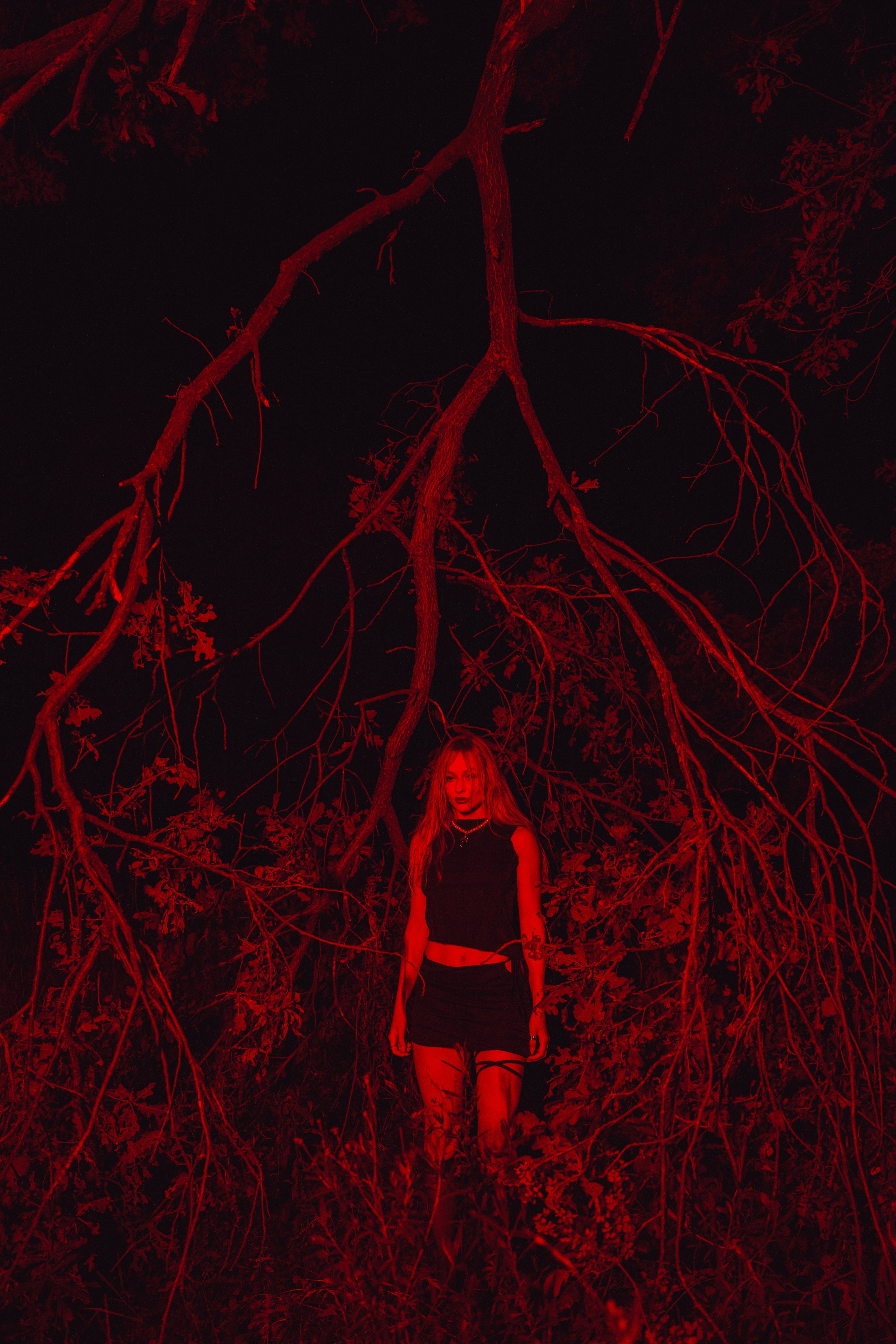 Ночной стиль дубов. Свадебный и репортажный фотограф Павел Царьков