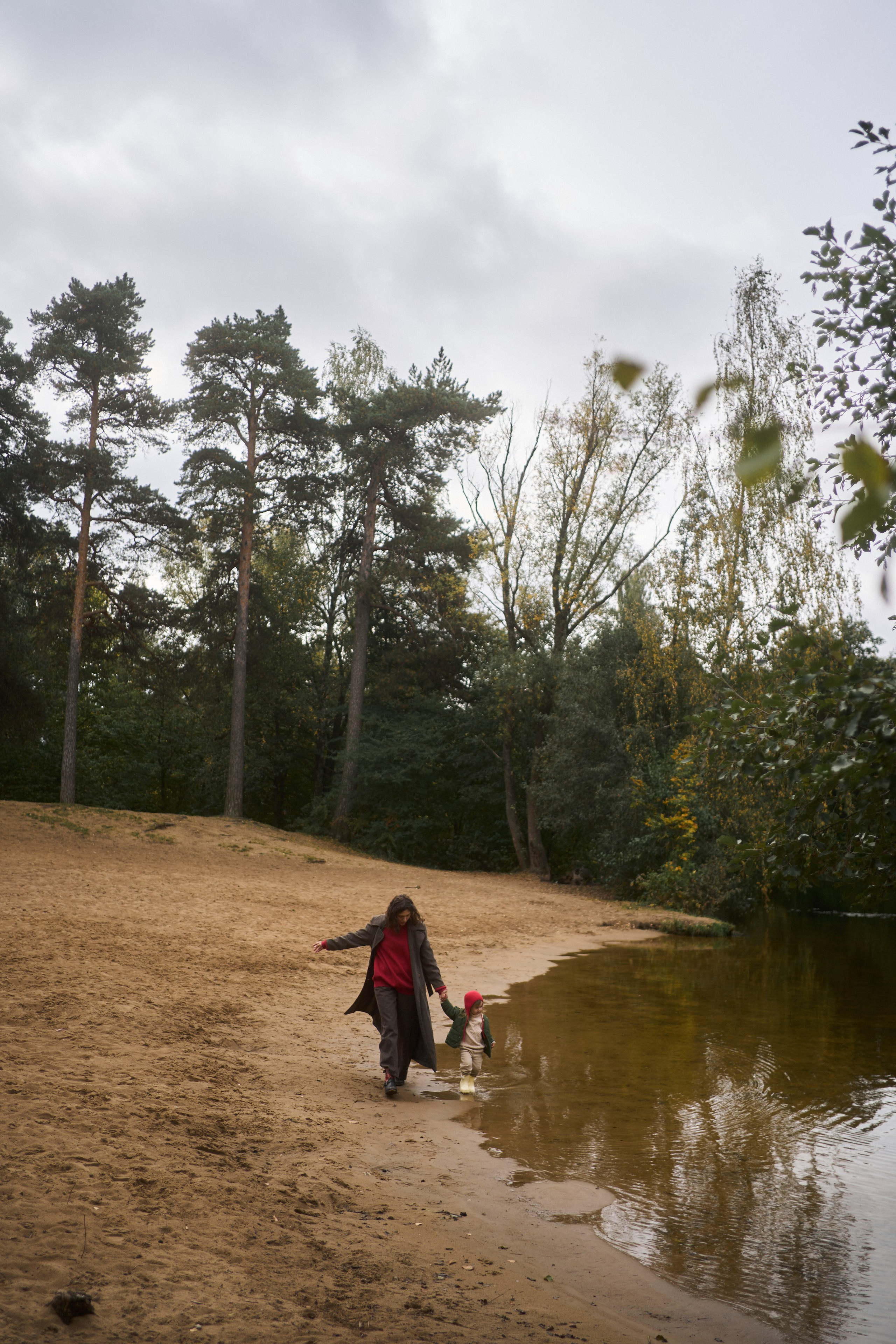 Печенье в песке. Фотограф анималист Москва Дарья