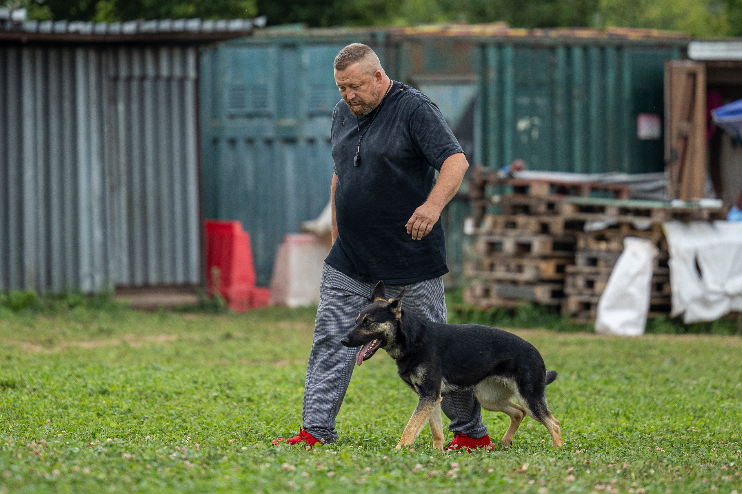 Соревнования по Мондьорингу г. Вологда 10-11.08.2024. Фотограф-анималист Анна Маринич