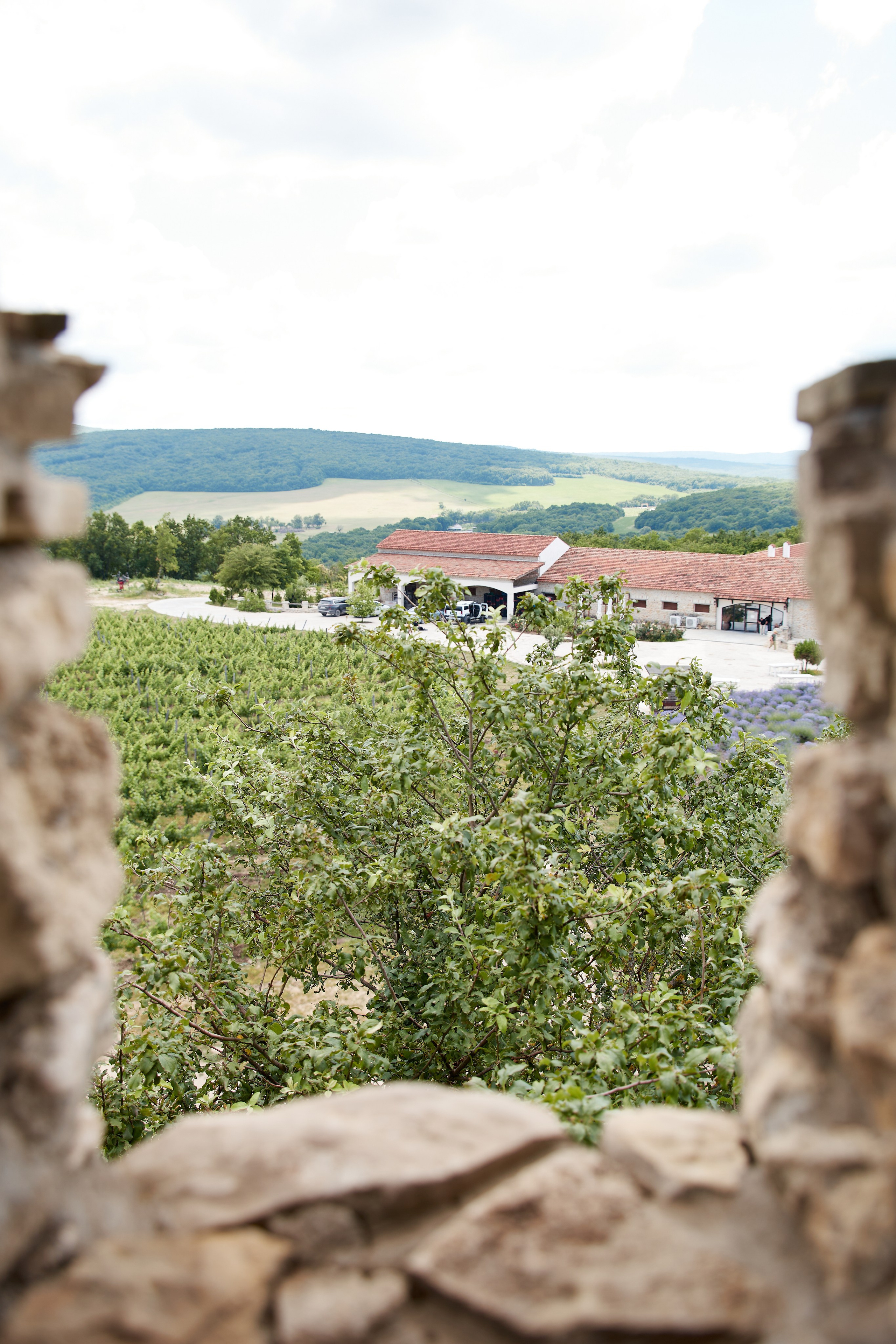 ОДНА ВИНОДЕЛЬНЯ. Репортажный и мужской фотограф в Краснодаре. Фотограф в Краснодаре