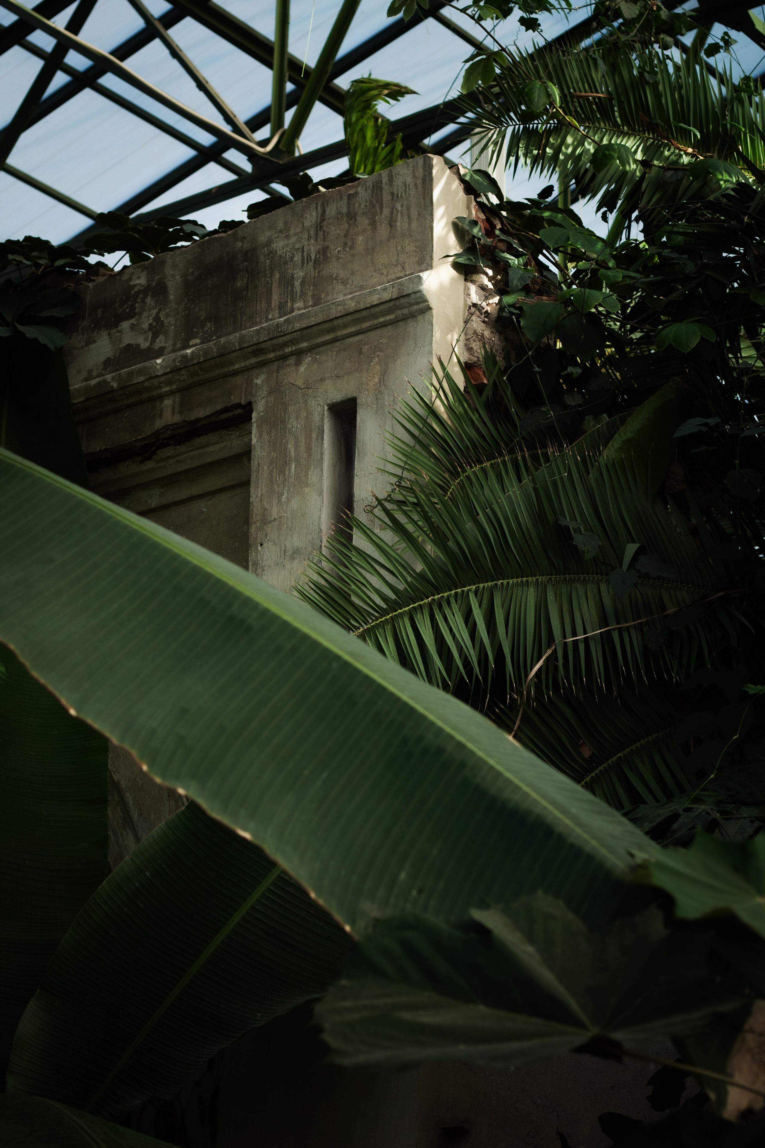 Саша и Ботанический сад. Dmitriy [KCCC] is a pretty cool photographer