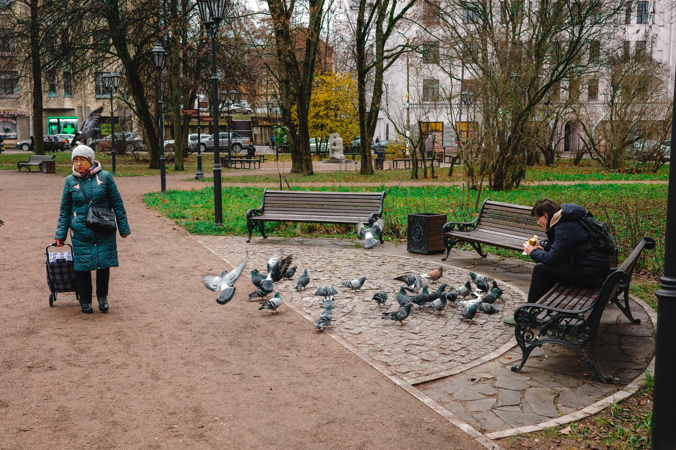 2024.11. Фотограф Алексей Алексеев