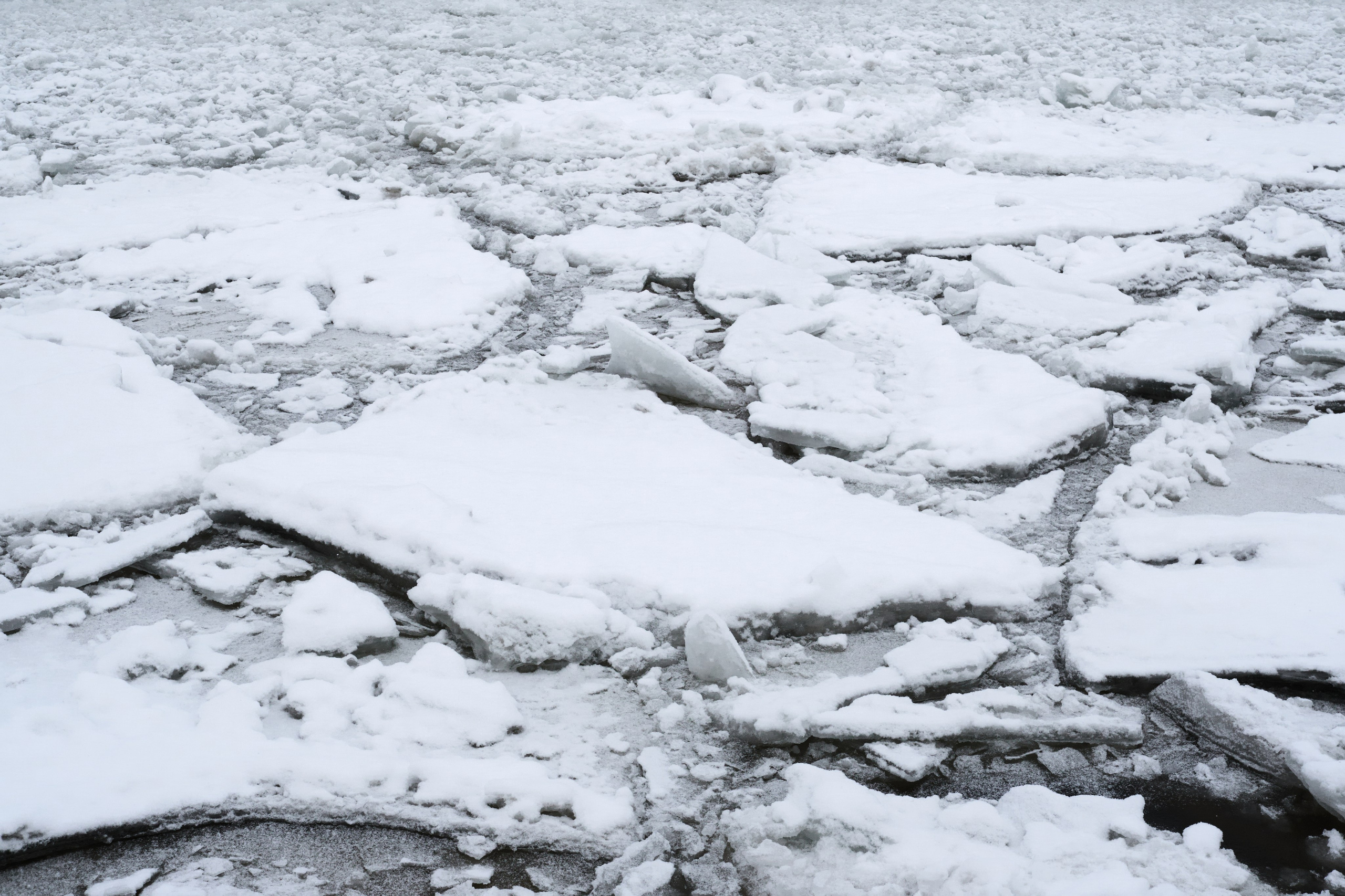 Стрит-фотография в Санкт-Петербурге — фотосессия | Филипп Линзин. Репортажный и портретный фотограф в Санкт-Петербурге Филипп Линзин