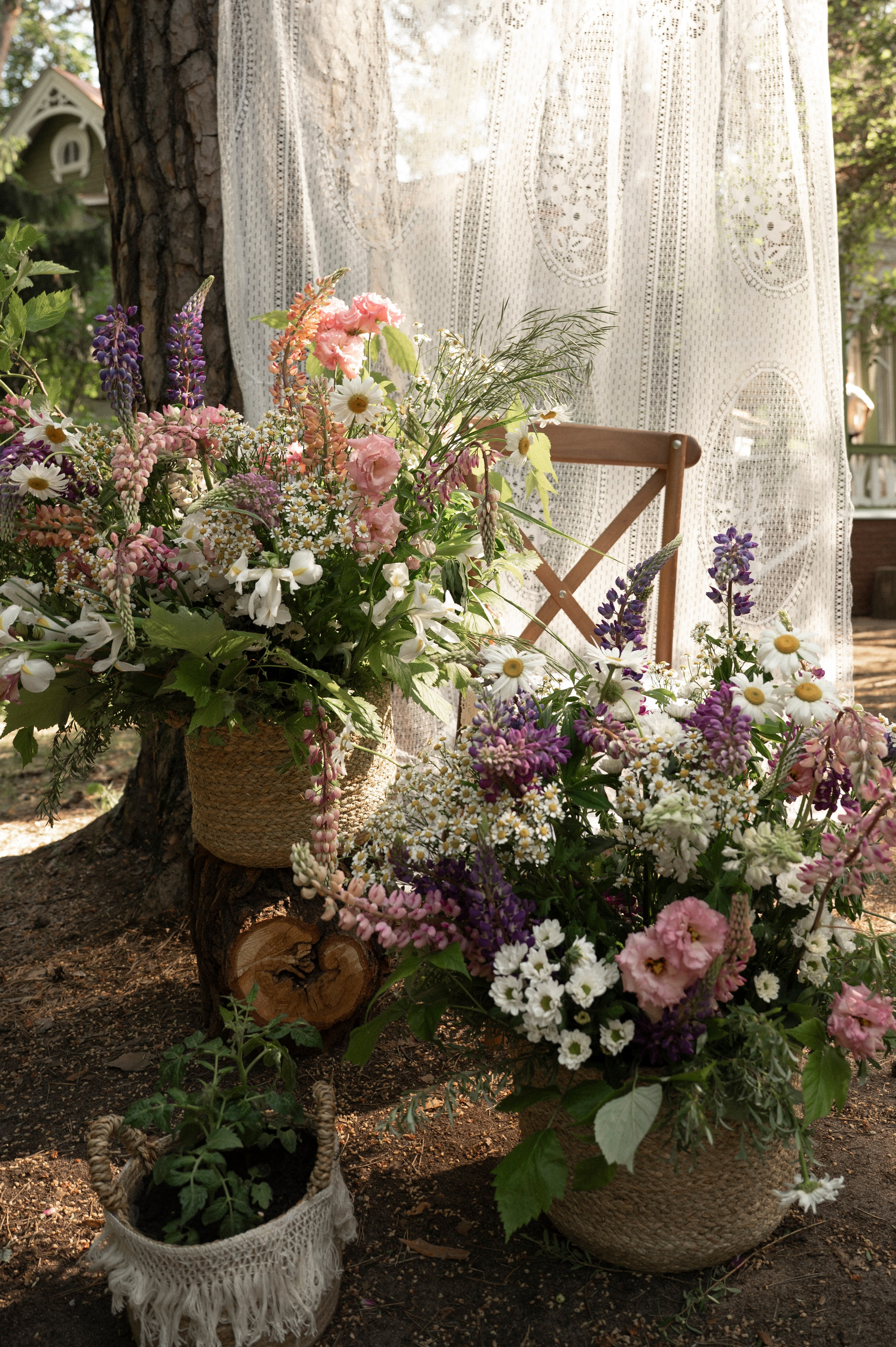 Наше лето. Фотограф Евгения Пронькина