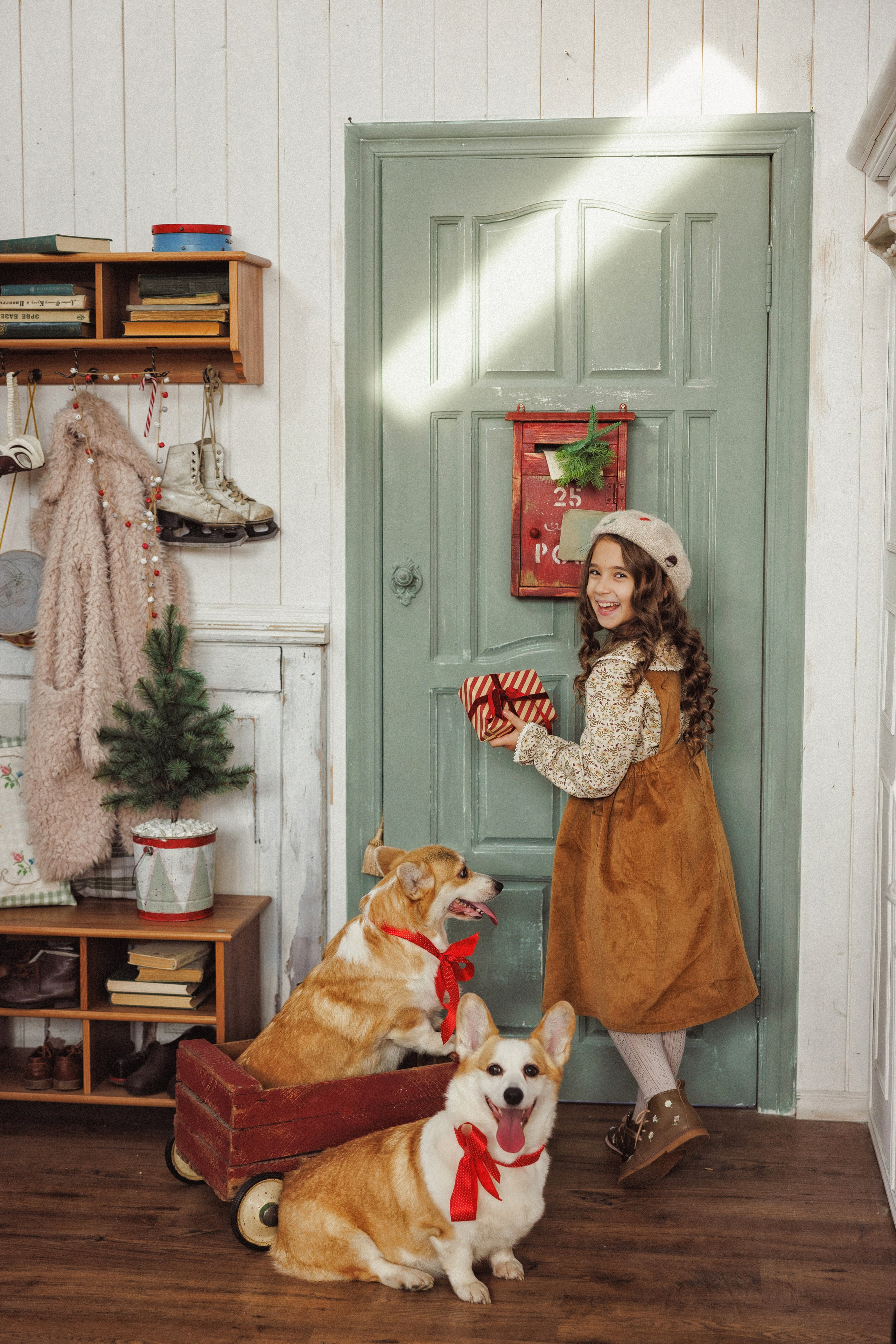 Новогодняя фотосессия с собачками породы Корги, город Краснодар. Семейный и детский фотограф в Краснодаре Анна Трашкова