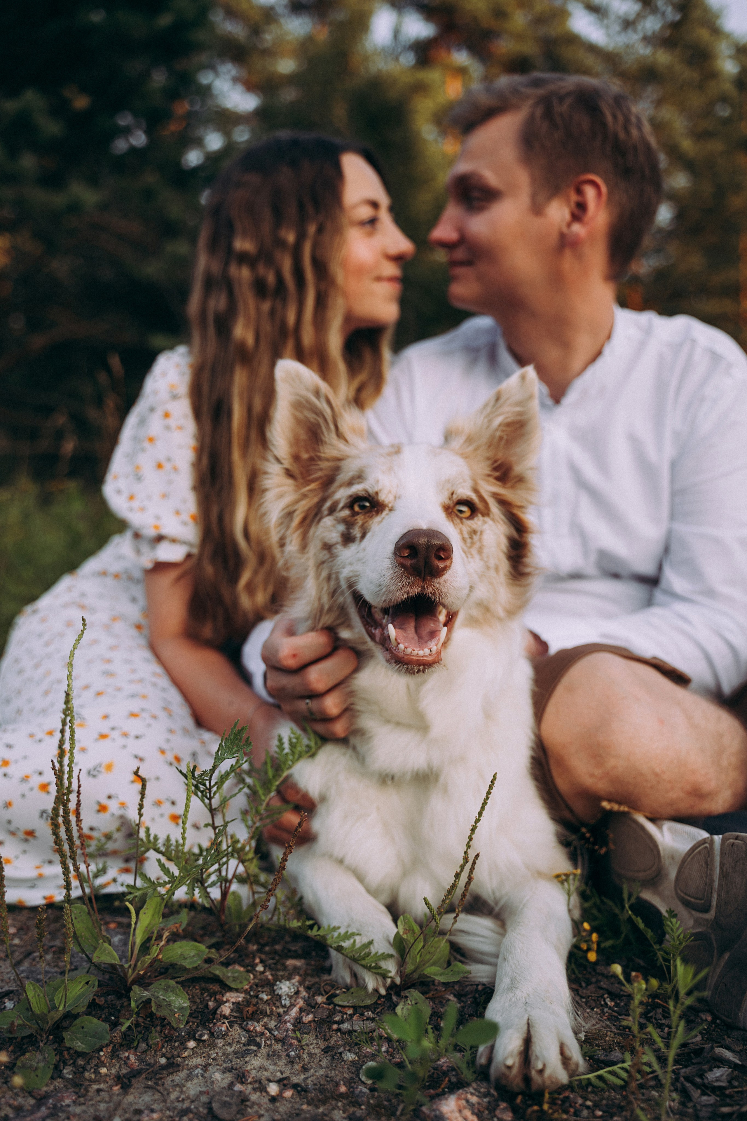 Хвостики. Главная