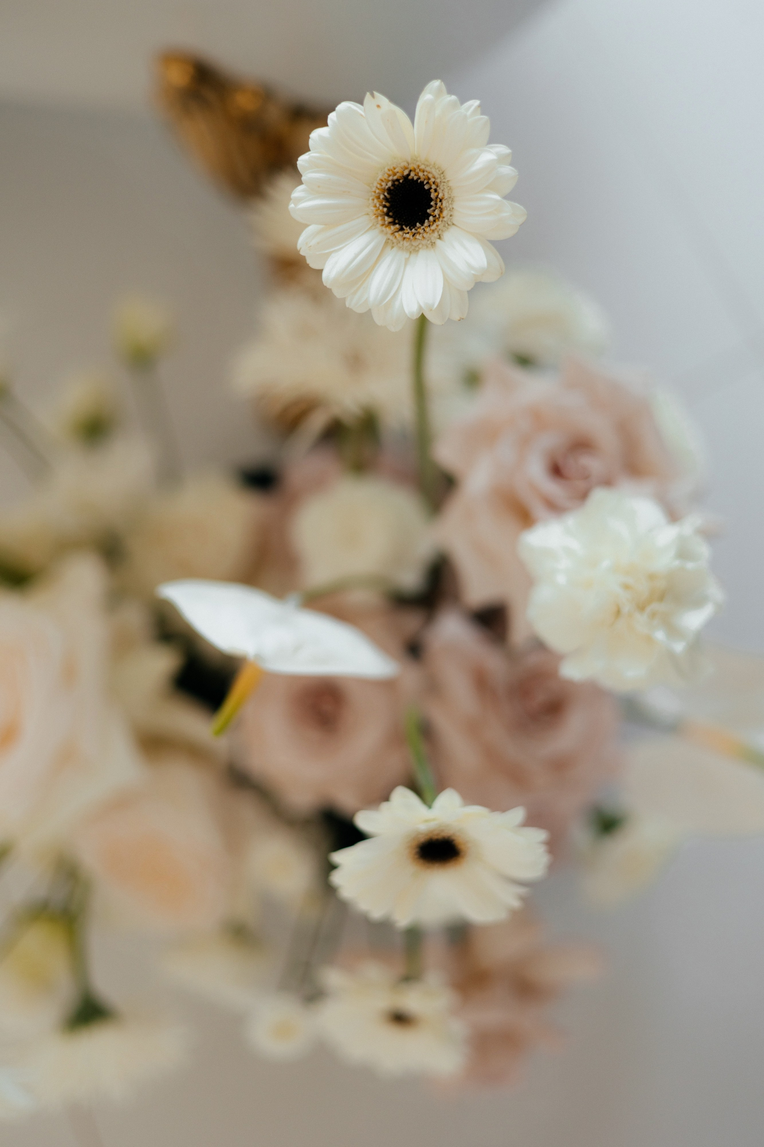 Ангелина и Сергей. Свадебный фотограф Минск РБ